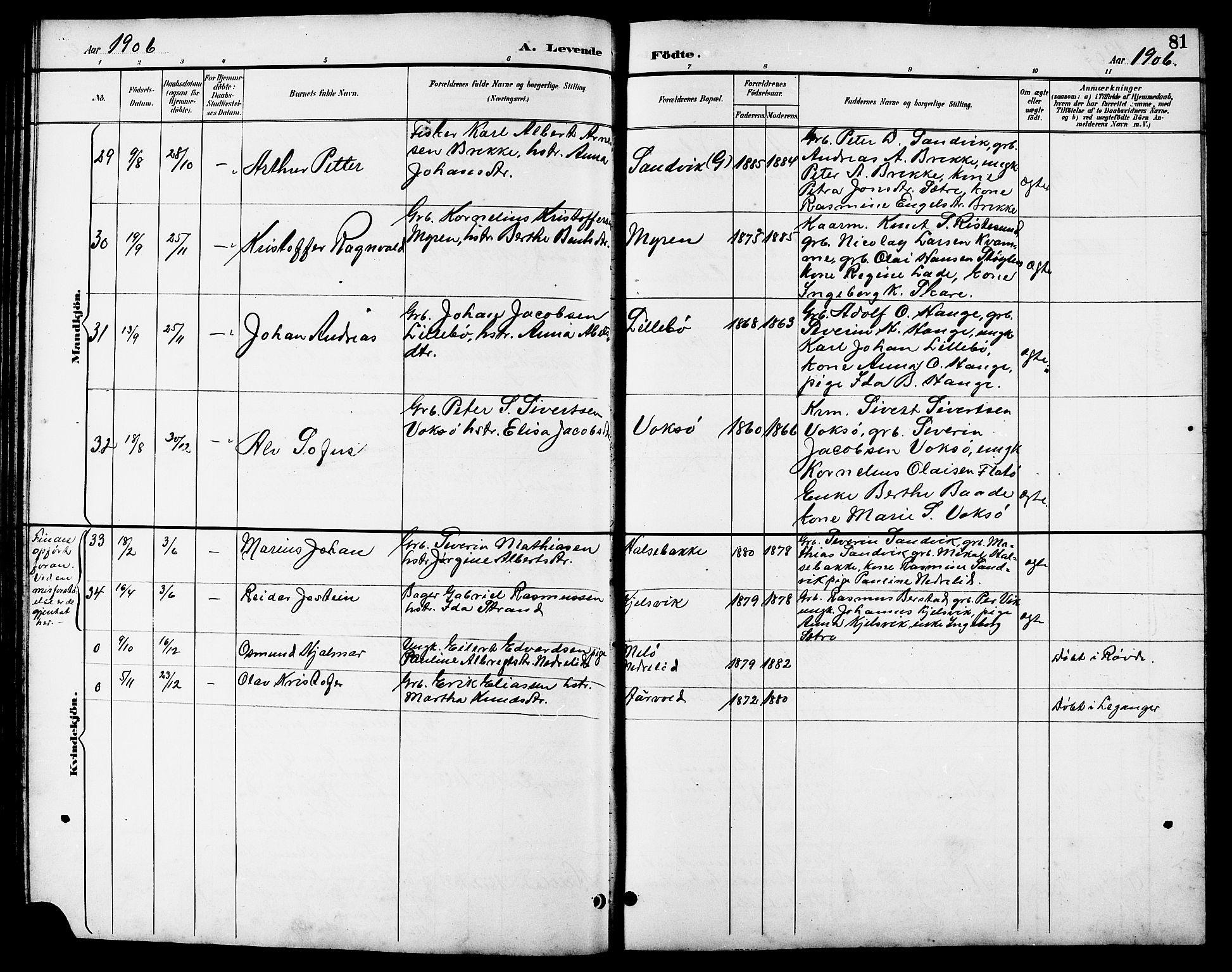 Ministerialprotokoller, klokkerbøker og fødselsregistre - Møre og Romsdal, AV/SAT-A-1454/503/L0049: Parish register (copy) no. 503C04, 1894-1915, p. 81