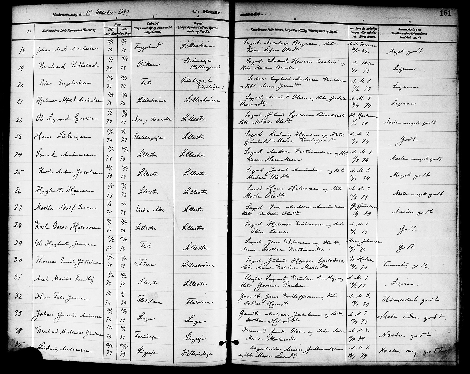 Skedsmo prestekontor Kirkebøker, SAO/A-10033a/F/Fa/L0014: Parish register (official) no. I 14, 1892-1901, p. 181