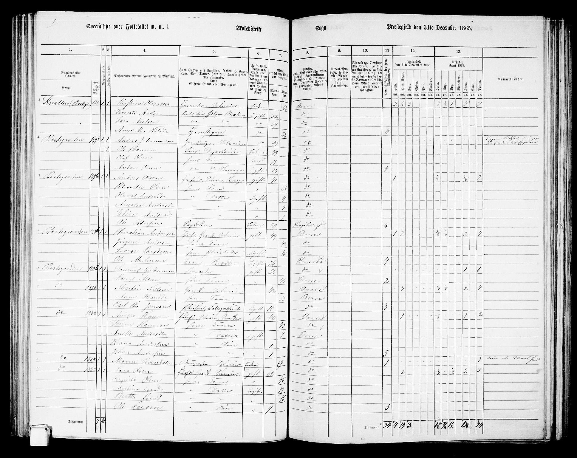 RA, 1865 census for Borre, 1865, p. 134