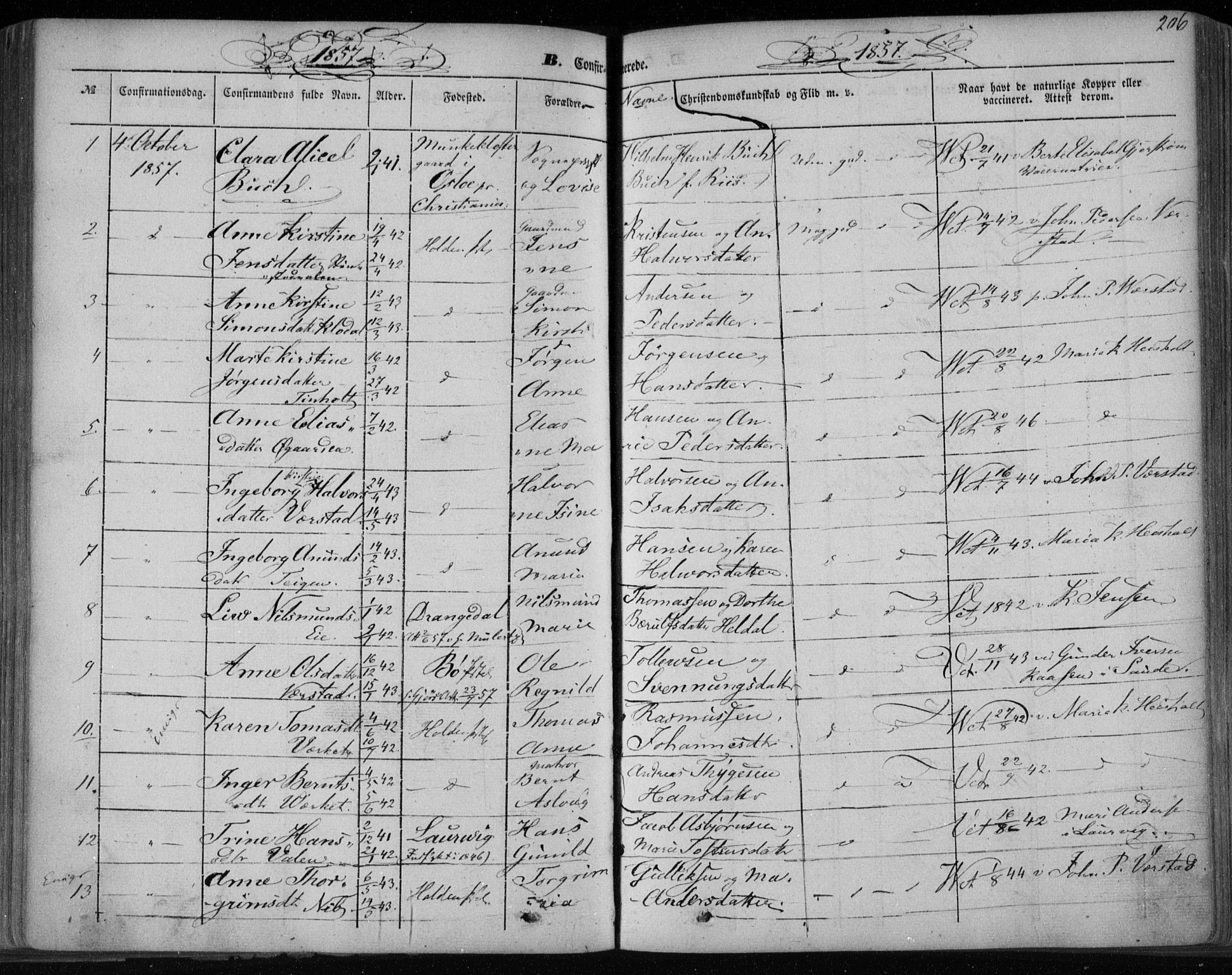 Holla kirkebøker, AV/SAKO-A-272/F/Fa/L0005: Parish register (official) no. 5, 1849-1860, p. 206