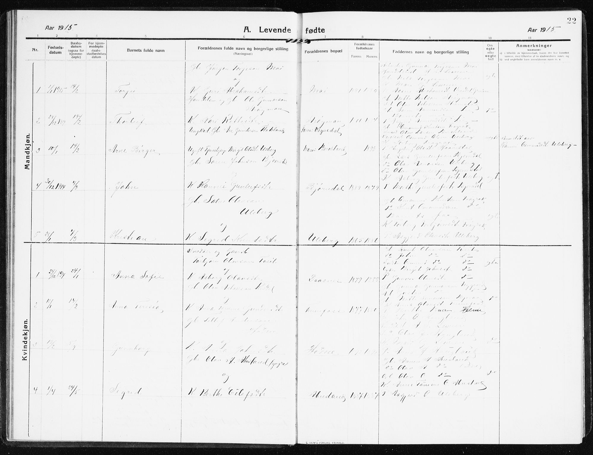 Evje sokneprestkontor, SAK/1111-0008/F/Fb/Fbb/L0003: Parish register (copy) no. B 3, 1910-1933, p. 22