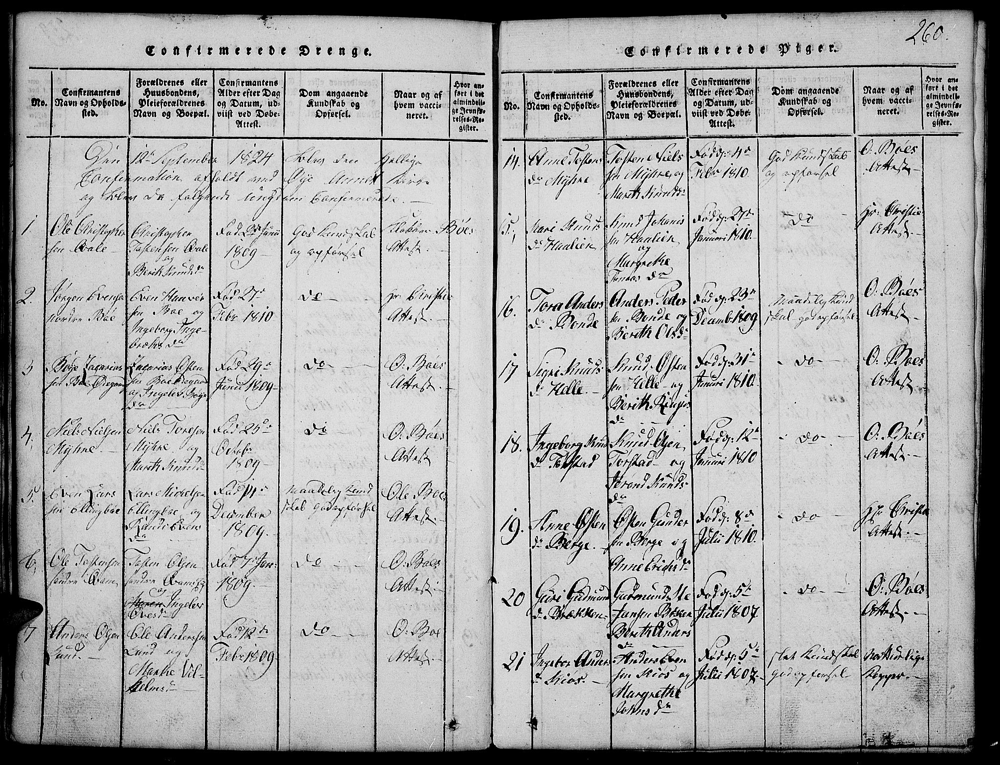 Vang prestekontor, Valdres, SAH/PREST-140/H/Hb/L0002: Parish register (copy) no. 2, 1814-1889, p. 260