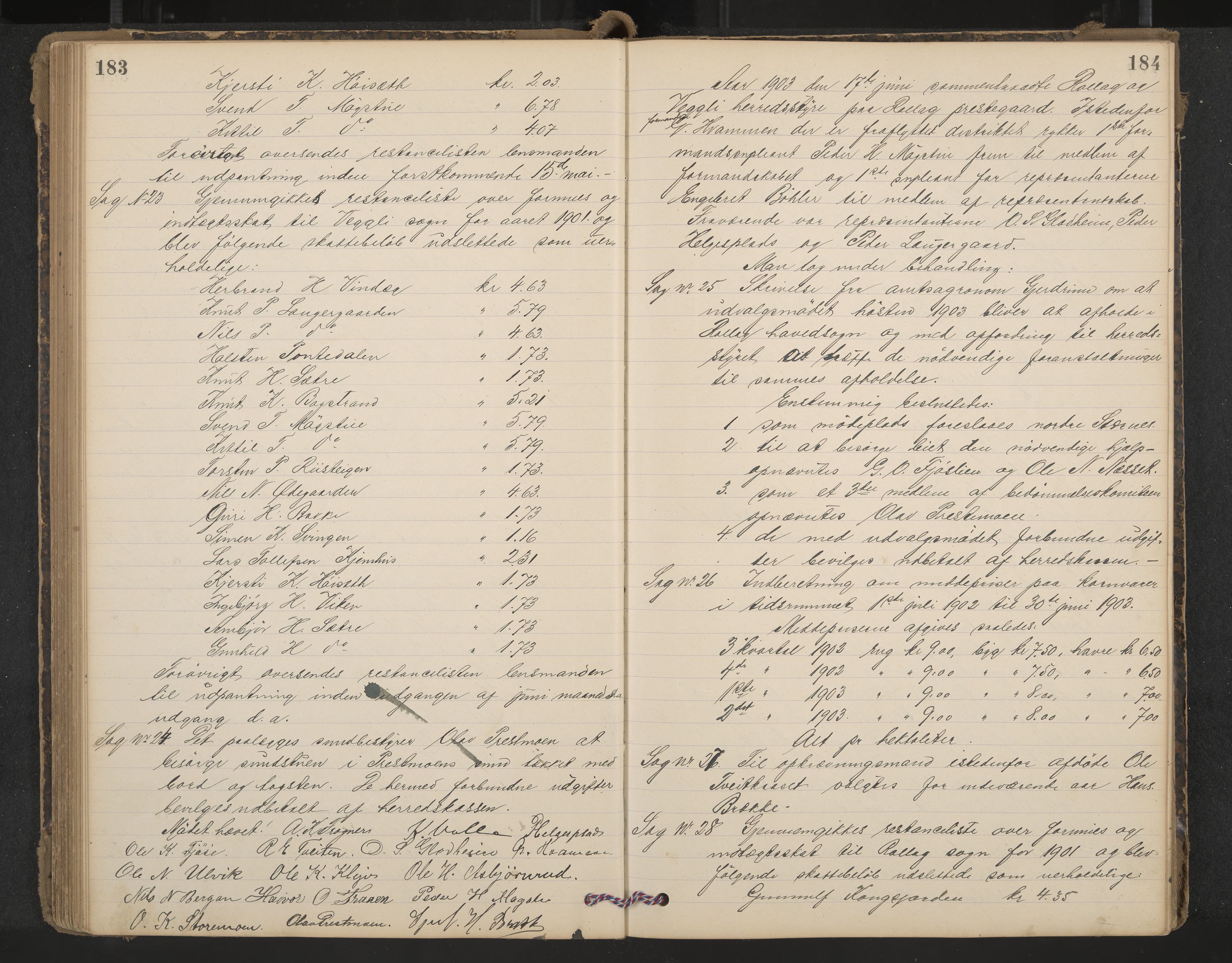 Rollag formannskap og sentraladministrasjon, IKAK/0632021-2/A/Aa/L0004: Møtebok, 1897-1909, p. 183-184