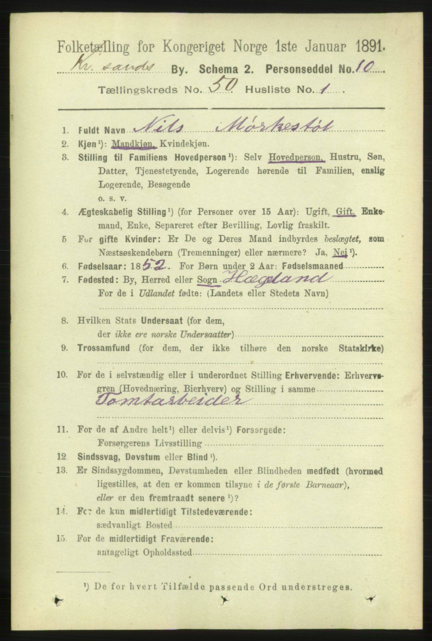 RA, 1891 census for 1001 Kristiansand, 1891, p. 14895