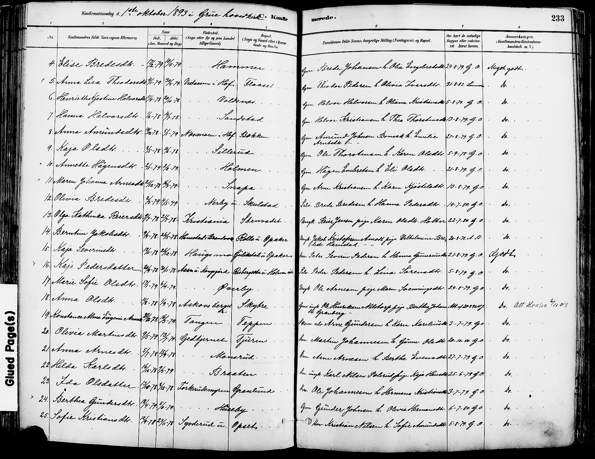 Grue prestekontor, AV/SAH-PREST-036/H/Ha/Haa/L0012: Parish register (official) no. 12, 1881-1897, p. 233