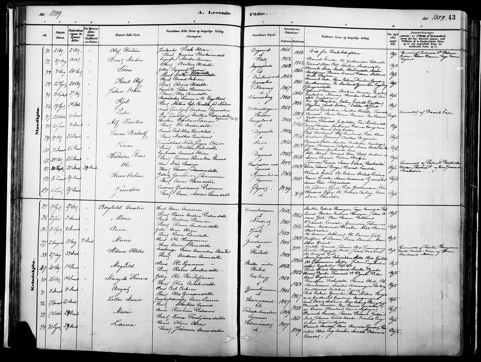 Vinger prestekontor, SAH/PREST-024/H/Ha/Haa/L0014: Parish register (official) no. 14, 1881-1900, p. 43