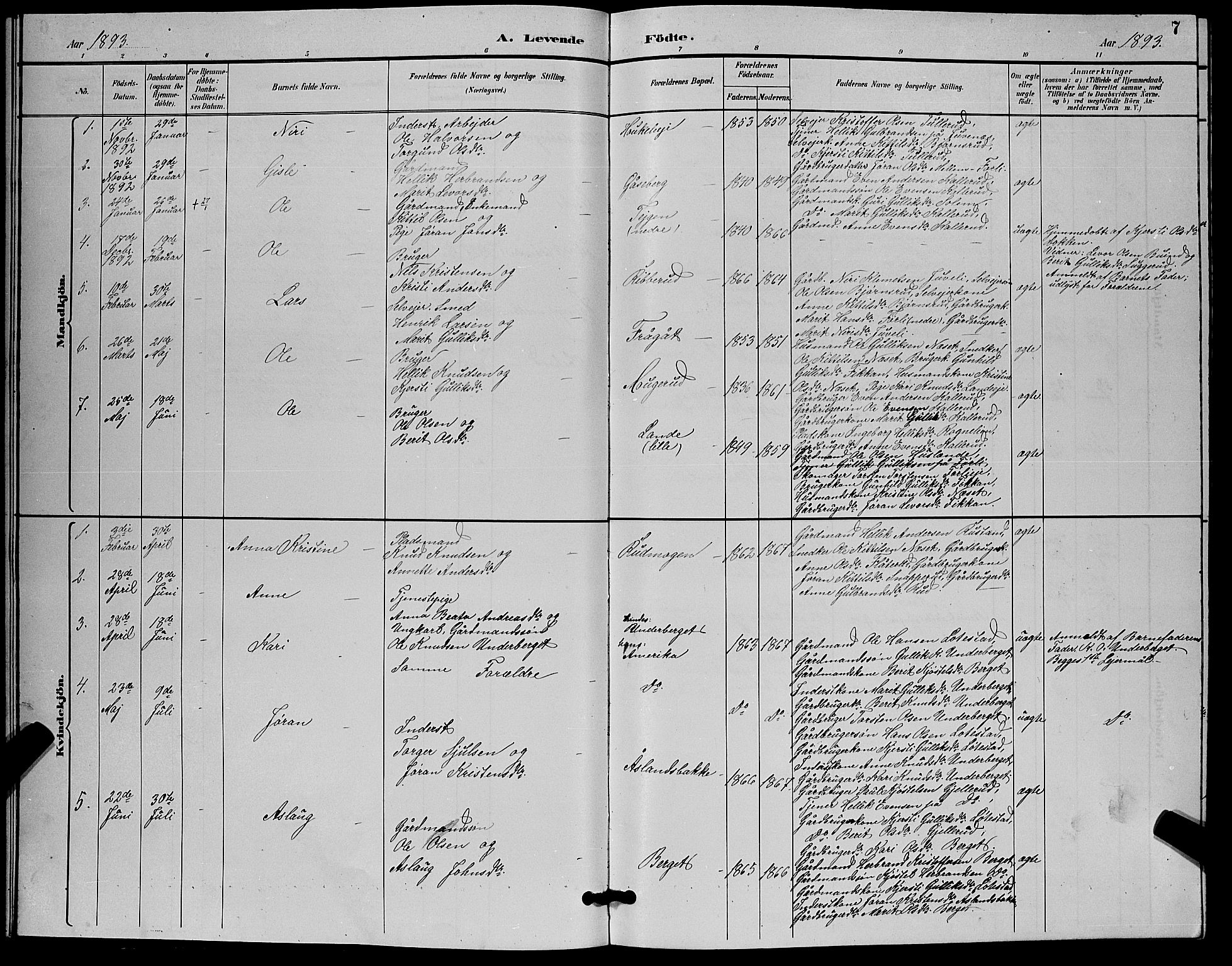 Flesberg kirkebøker, SAKO/A-18/G/Ga/L0004: Parish register (copy) no. I 4 /1, 1890-1898, p. 7