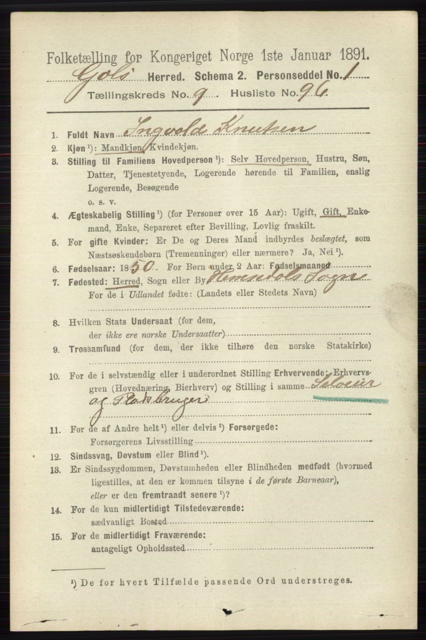 RA, 1891 census for 0617 Gol og Hemsedal, 1891, p. 3973