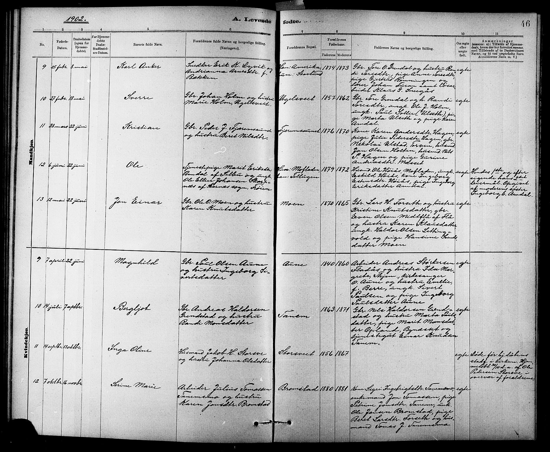 Ministerialprotokoller, klokkerbøker og fødselsregistre - Sør-Trøndelag, AV/SAT-A-1456/618/L0452: Parish register (copy) no. 618C03, 1884-1906, p. 46