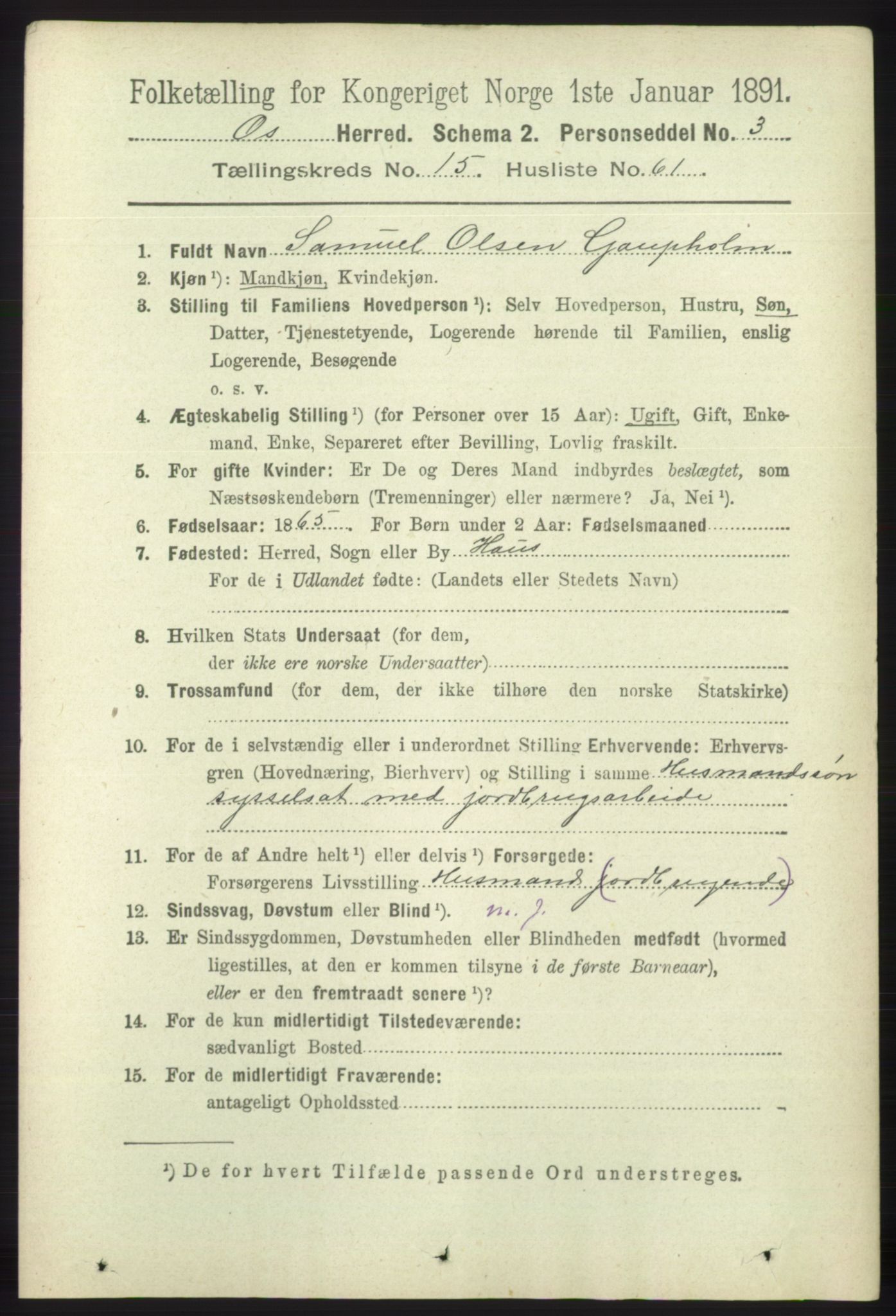 RA, 1891 census for 1243 Os, 1891, p. 3477