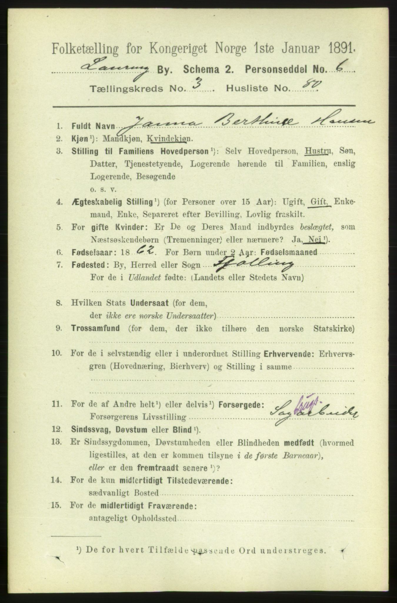 RA, 1891 census for 0707 Larvik, 1891, p. 5033