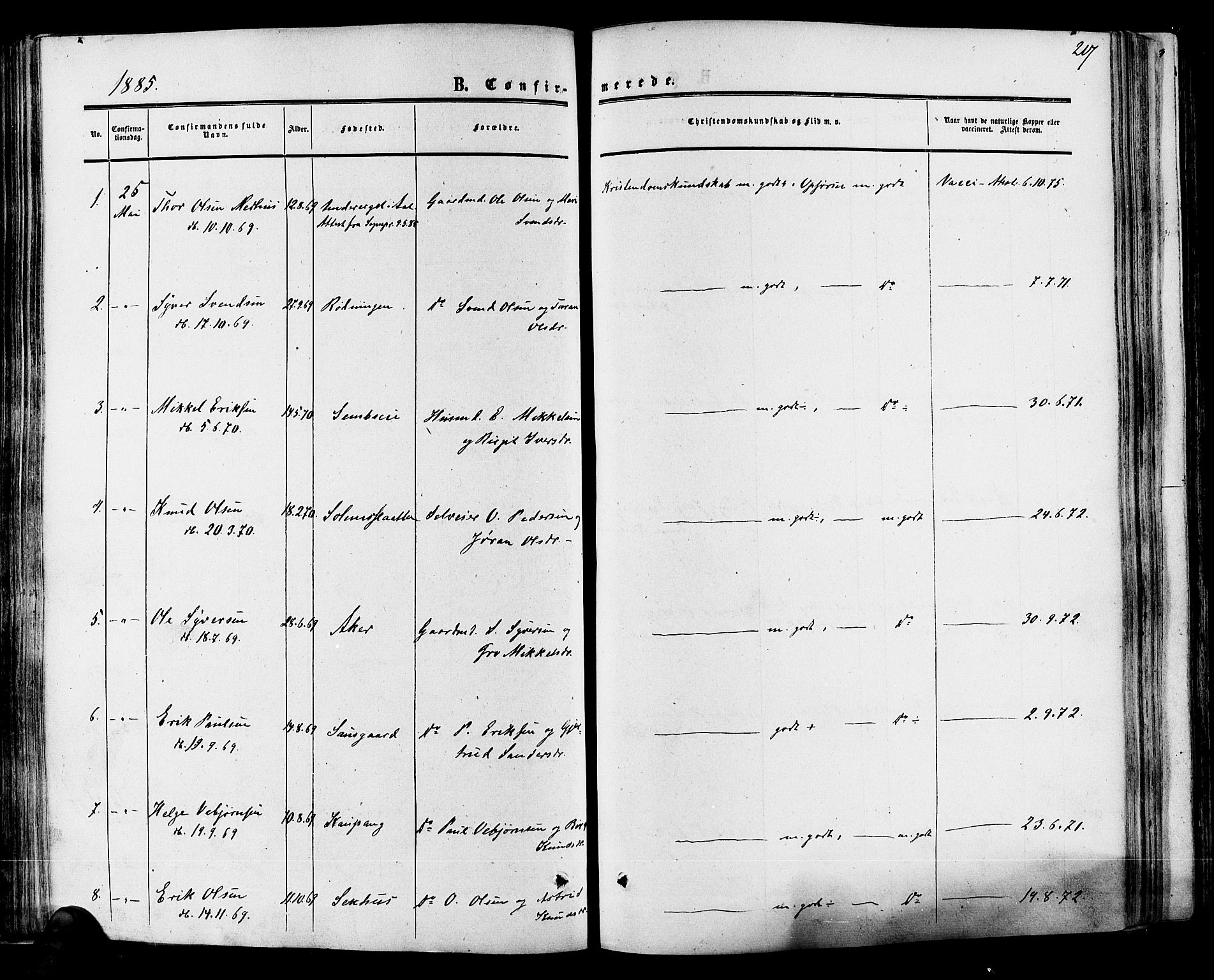 Hol kirkebøker, SAKO/A-227/F/Fa/L0002: Parish register (official) no. I 2, 1870-1886, p. 217