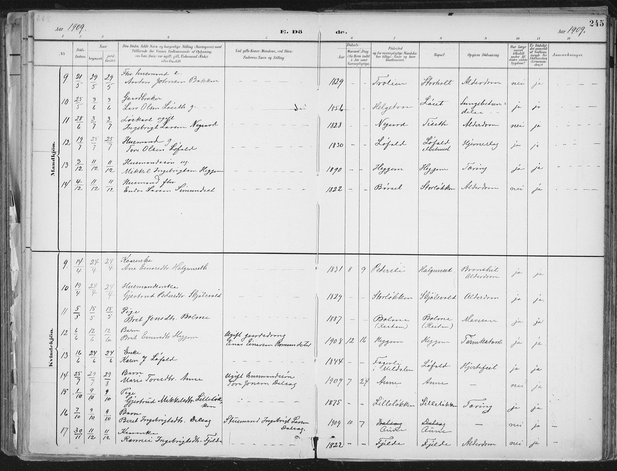 Ministerialprotokoller, klokkerbøker og fødselsregistre - Møre og Romsdal, AV/SAT-A-1454/598/L1072: Parish register (official) no. 598A06, 1896-1910, p. 245