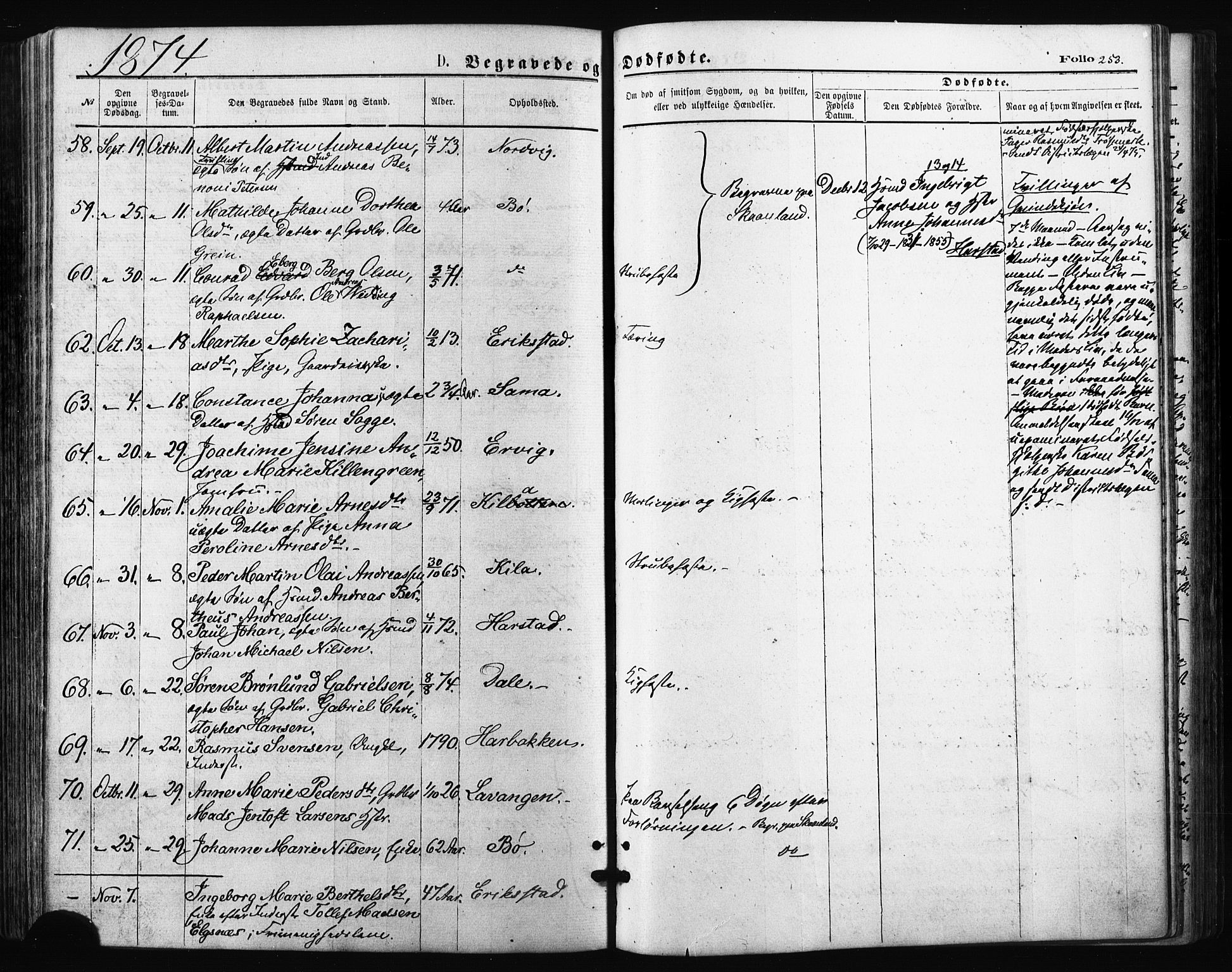 Trondenes sokneprestkontor, AV/SATØ-S-1319/H/Ha/L0013kirke: Parish register (official) no. 13, 1870-1878, p. 253