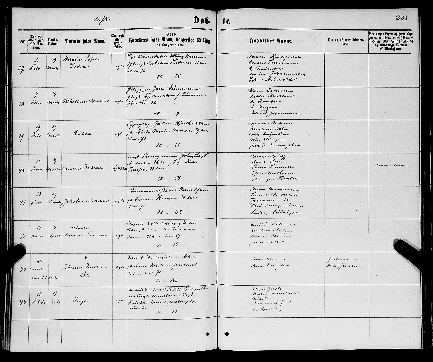 Korskirken sokneprestembete, SAB/A-76101/H/Haa/L0020: Parish register (official) no. B 6, 1871-1878, p. 231