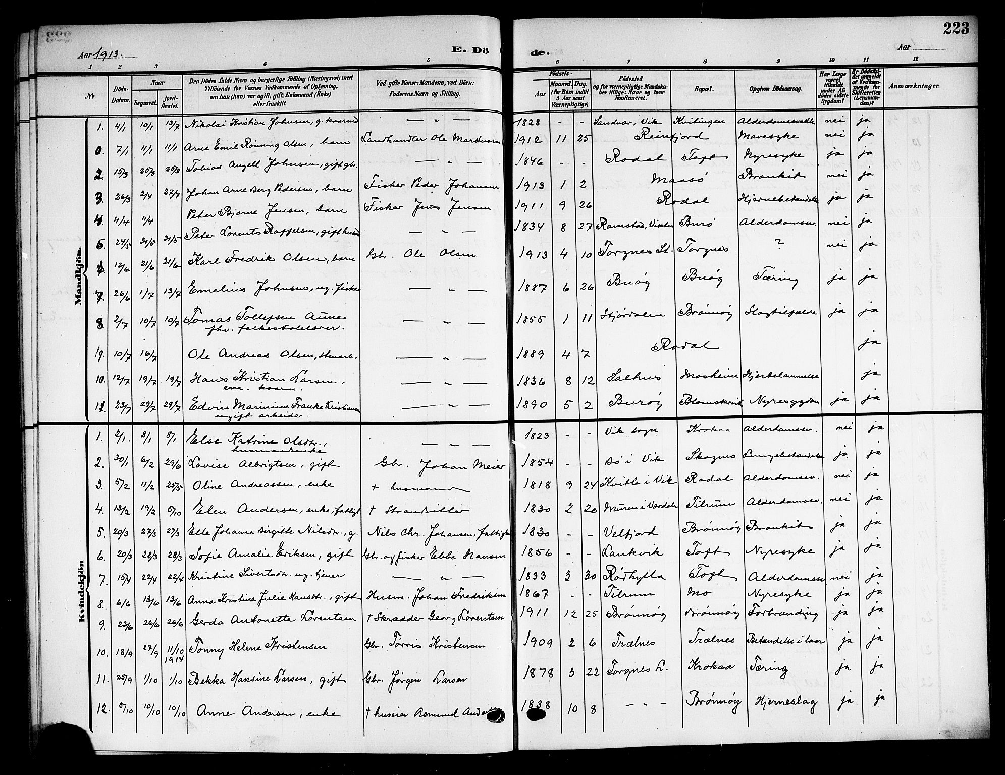 Ministerialprotokoller, klokkerbøker og fødselsregistre - Nordland, SAT/A-1459/813/L0214: Parish register (copy) no. 813C06, 1904-1917, p. 223
