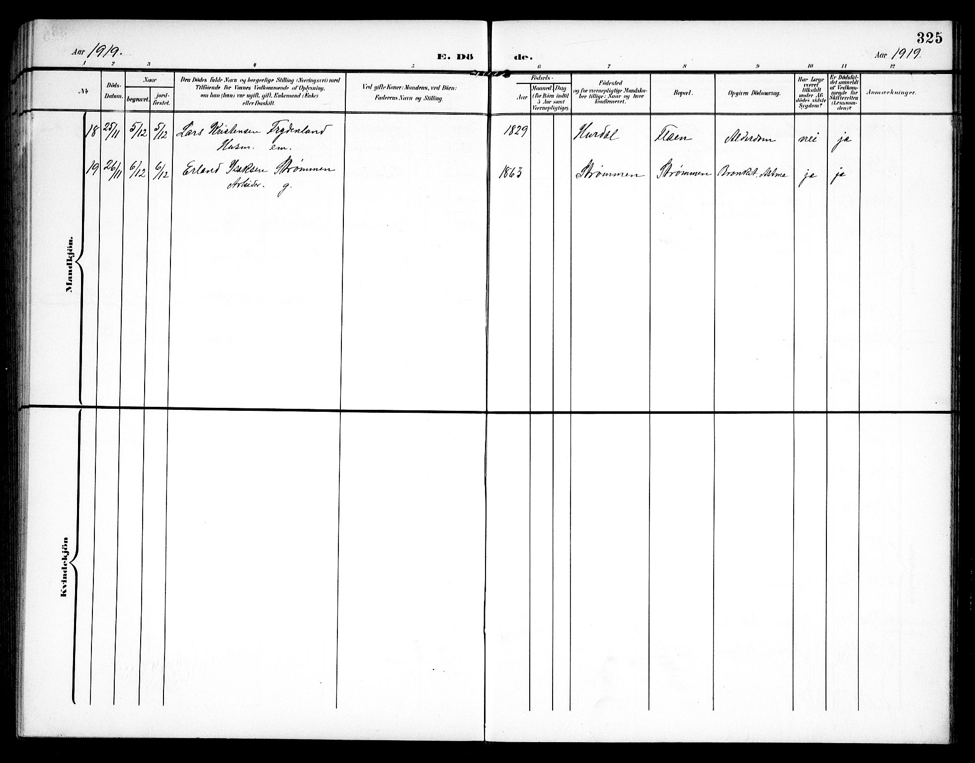 Hurdal prestekontor Kirkebøker, AV/SAO-A-10889/G/Ga/L0001: Parish register (copy) no. I 1, 1902-1934, p. 325