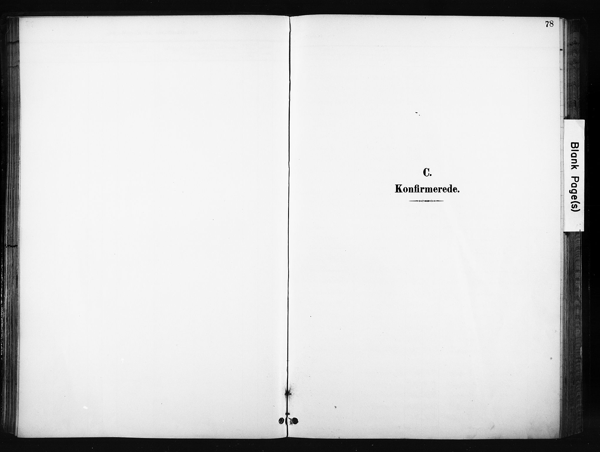 Søndre Land prestekontor, SAH/PREST-122/K/L0004: Parish register (official) no. 4, 1895-1904, p. 78