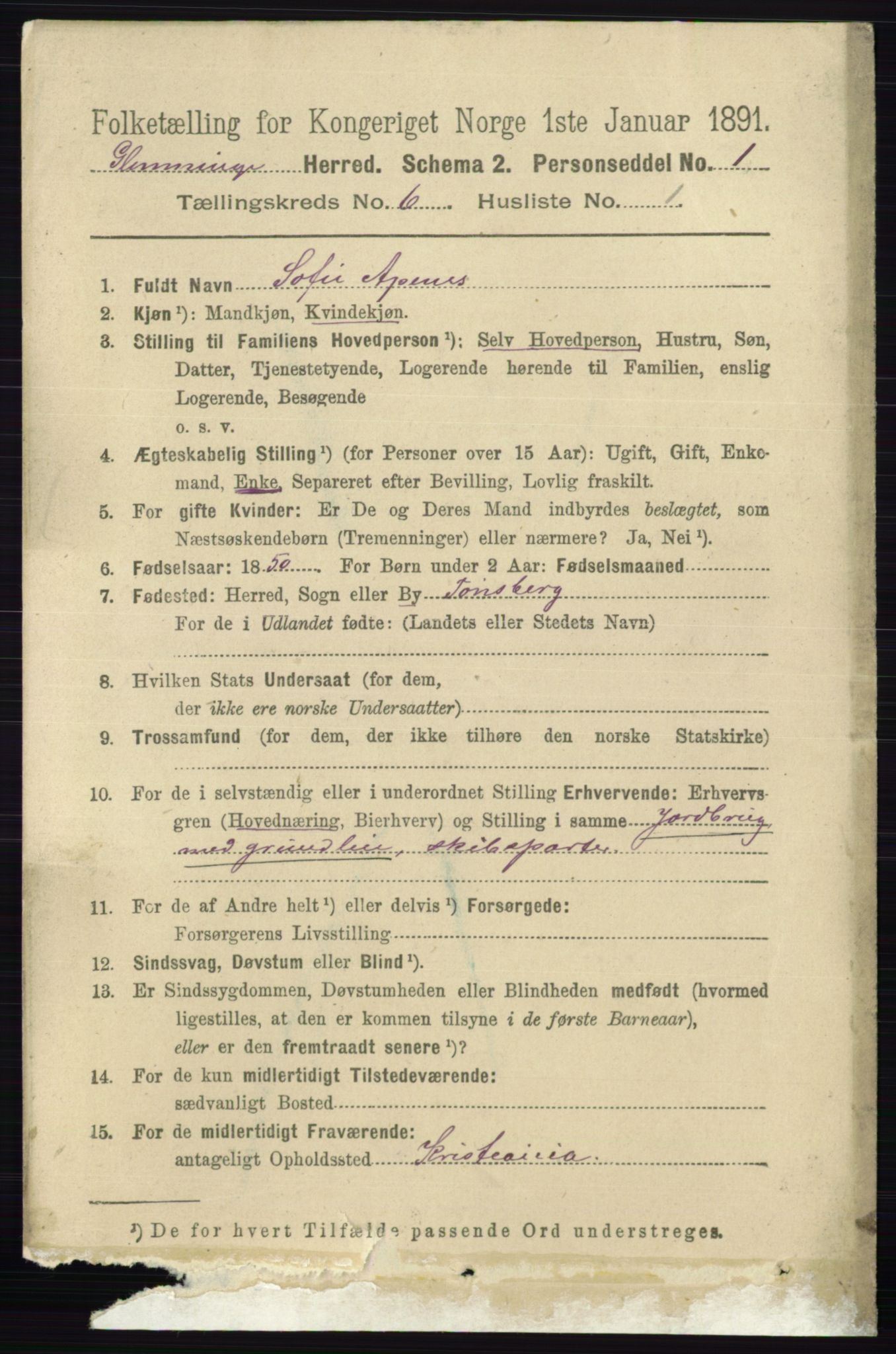 RA, 1891 census for 0132 Glemmen, 1891, p. 7507