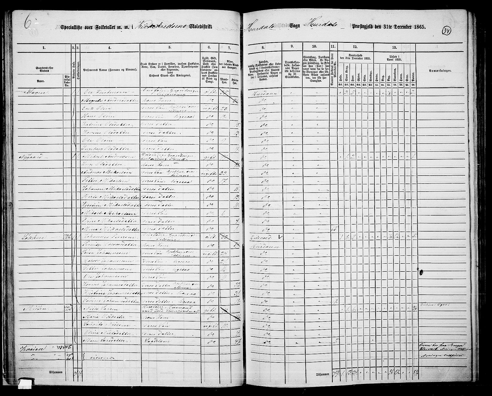 RA, 1865 census for Hurdal, 1865, p. 31