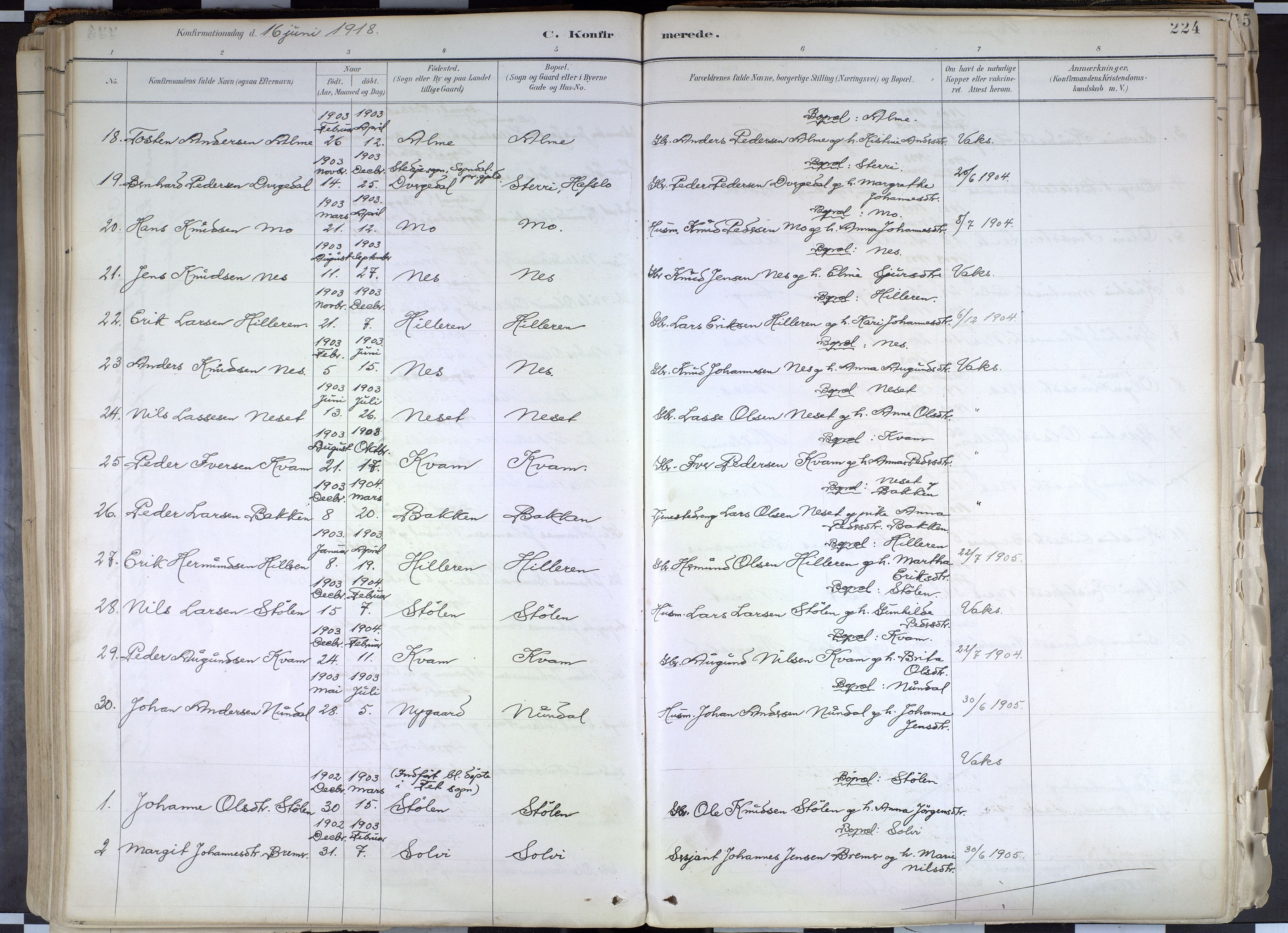 Hafslo sokneprestembete, AV/SAB-A-80301/H/Haa/Haab/L0001: Parish register (official) no. B 1, 1886-1945, p. 224