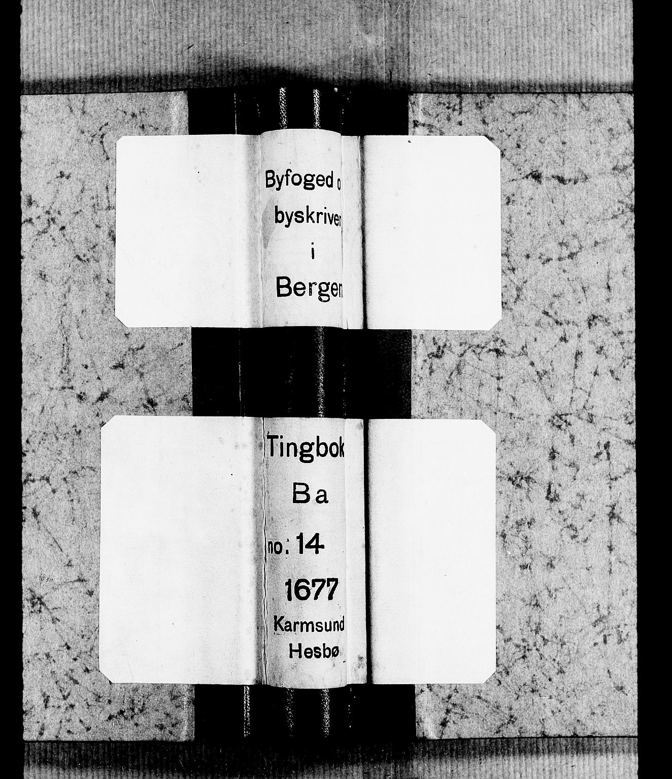 Ryfylke tingrett, AV/SAST-A-100055/001/I/IB/IBBa/L0014: Tingbok, Karmsund og Hesby, 1677