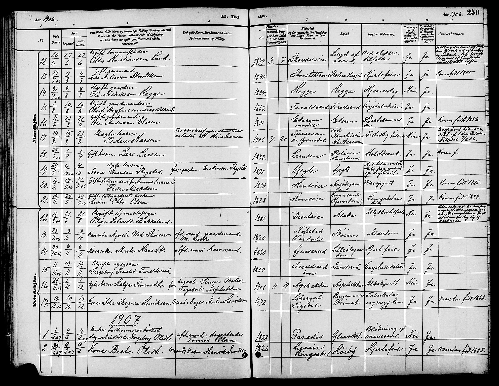 Biri prestekontor, SAH/PREST-096/H/Ha/Hab/L0004: Parish register (copy) no. 4, 1892-1909, p. 250