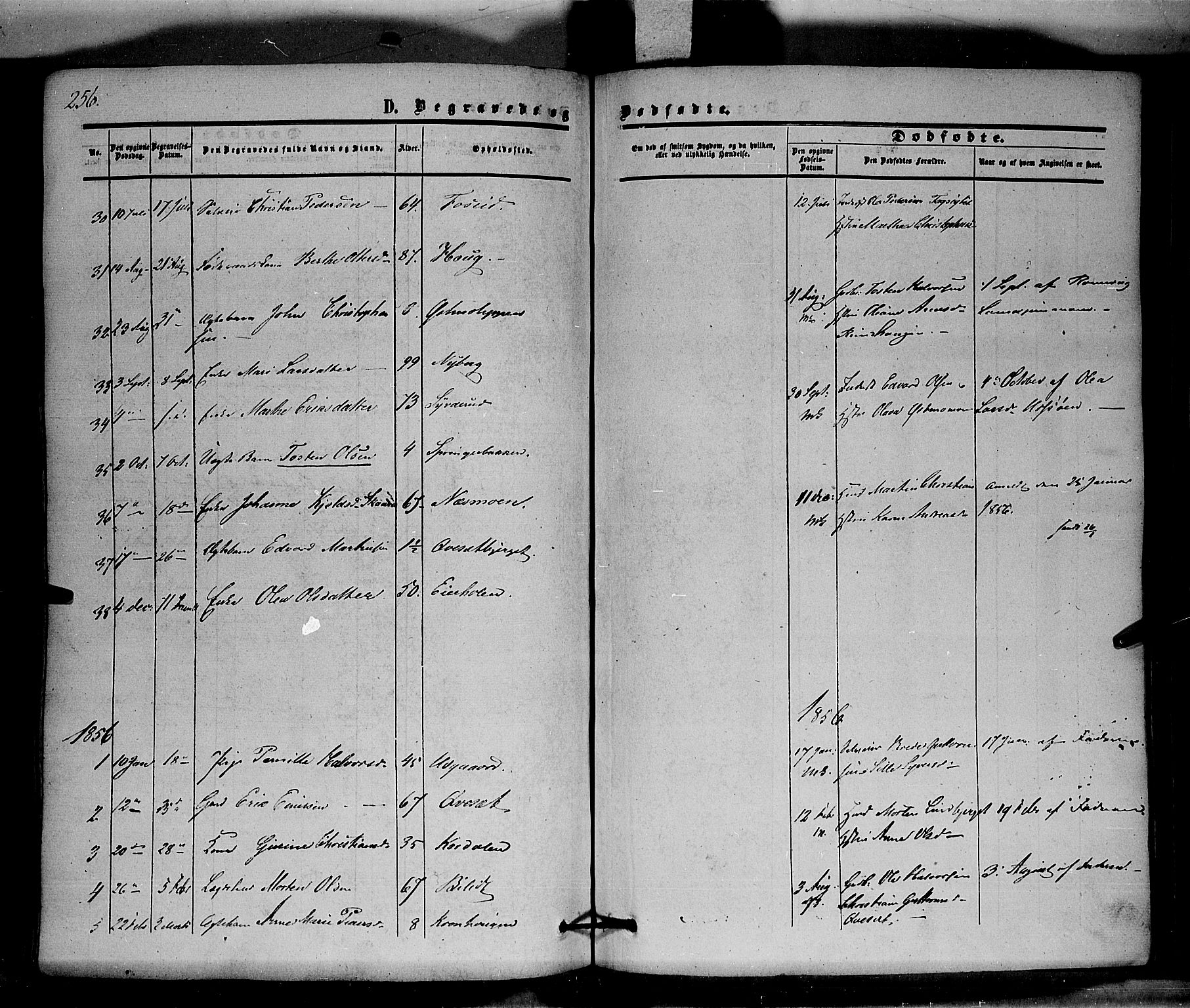 Hof prestekontor, SAH/PREST-038/H/Ha/Haa/L0008: Parish register (official) no. 8, 1849-1861, p. 256