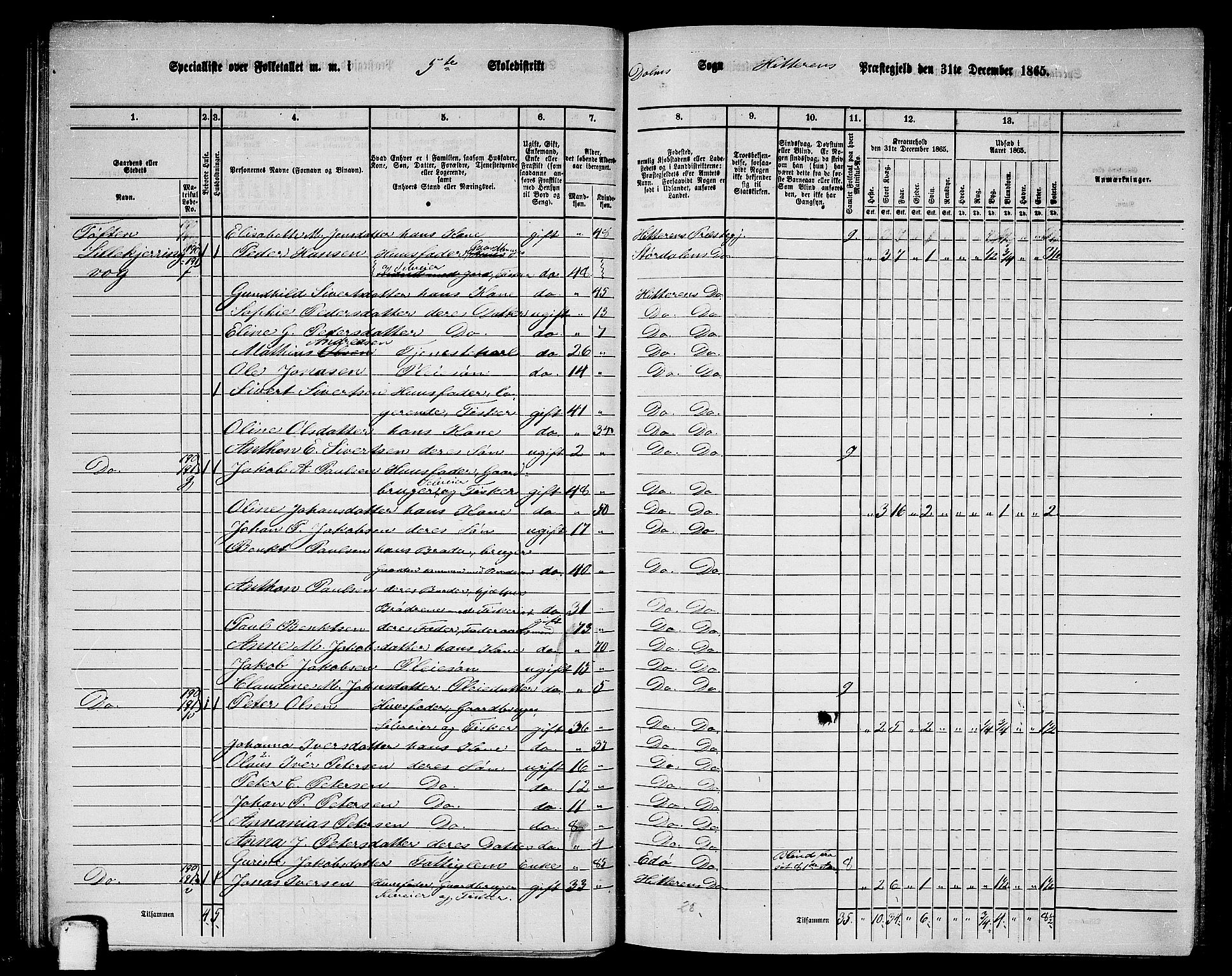 RA, 1865 census for Hitra, 1865, p. 123