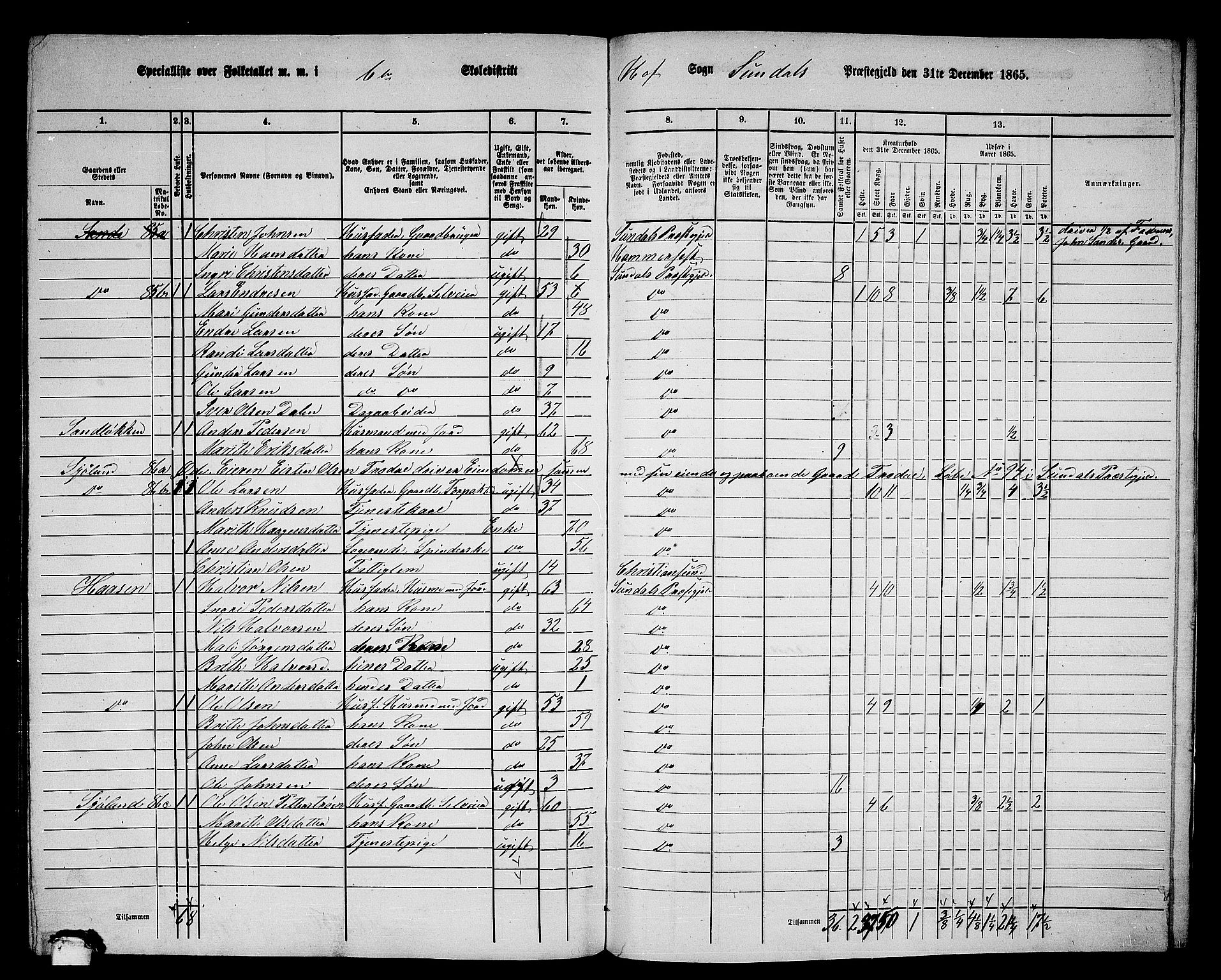 RA, 1865 census for Sunndal, 1865, p. 80