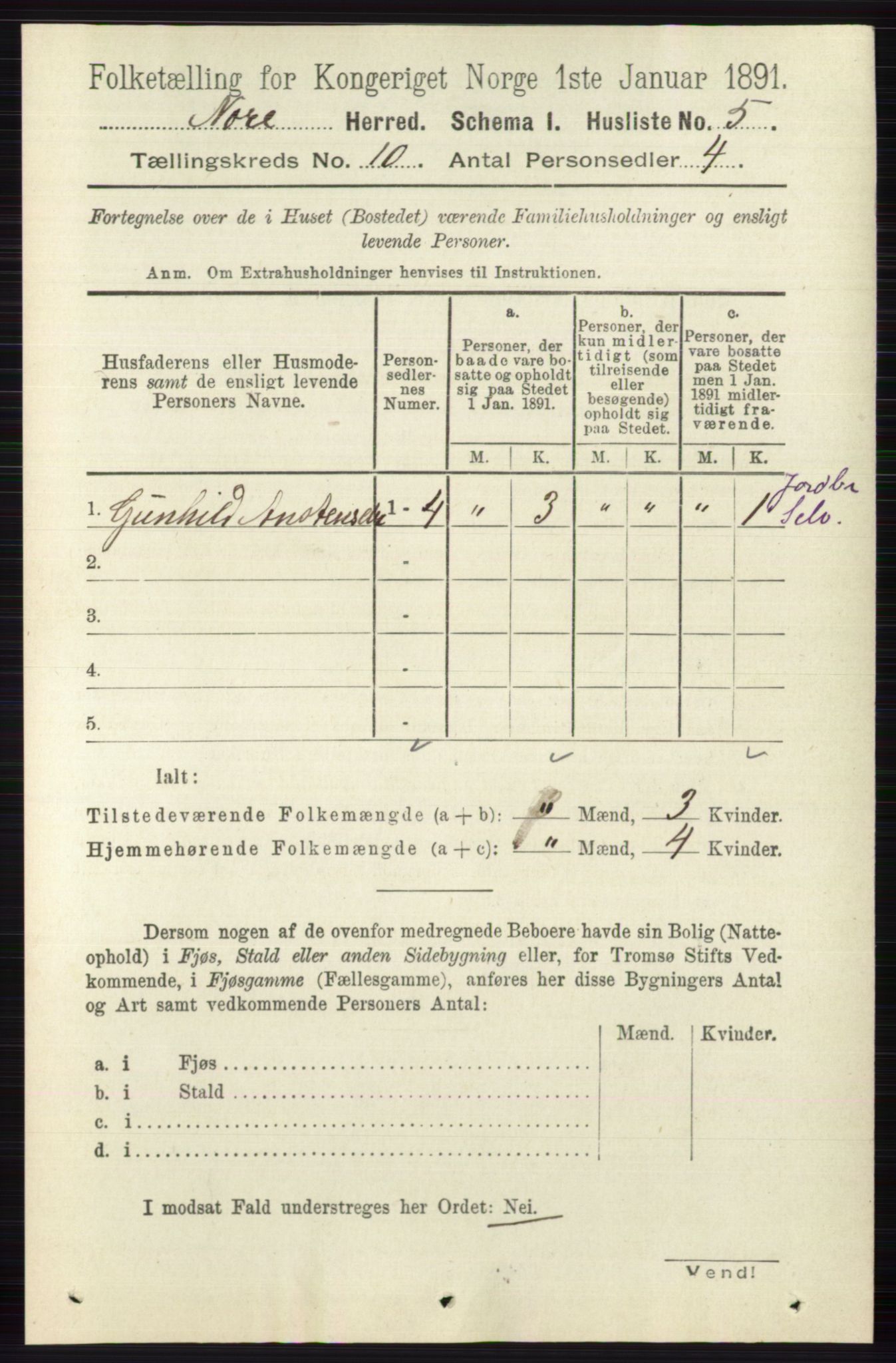 RA, 1891 census for 0633 Nore, 1891, p. 3519