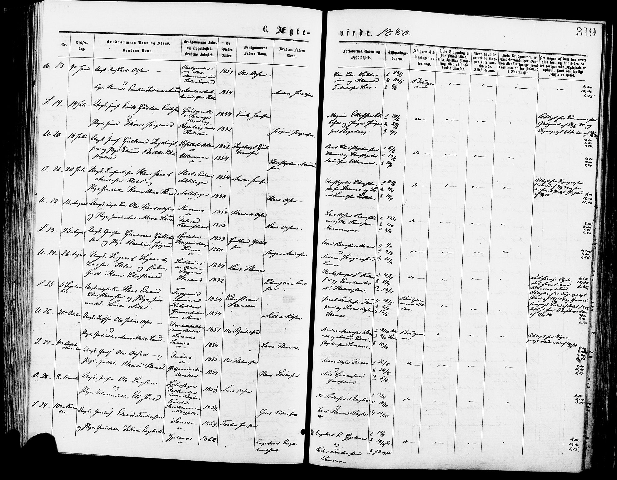 Sør-Odal prestekontor, SAH/PREST-030/H/Ha/Haa/L0005: Parish register (official) no. 5, 1876-1885, p. 319