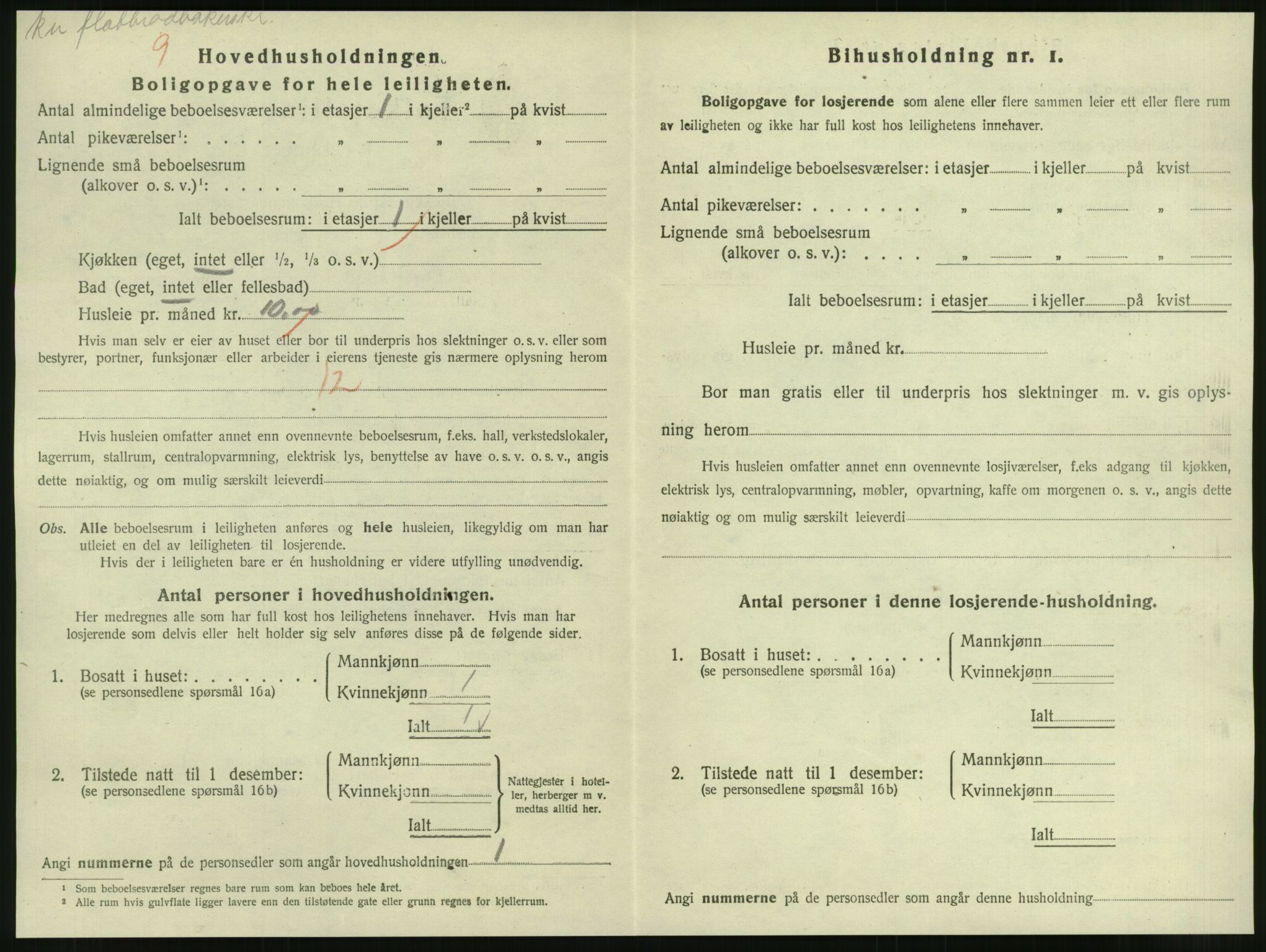 SAT, 1920 census for Steinkjer, 1920, p. 1125