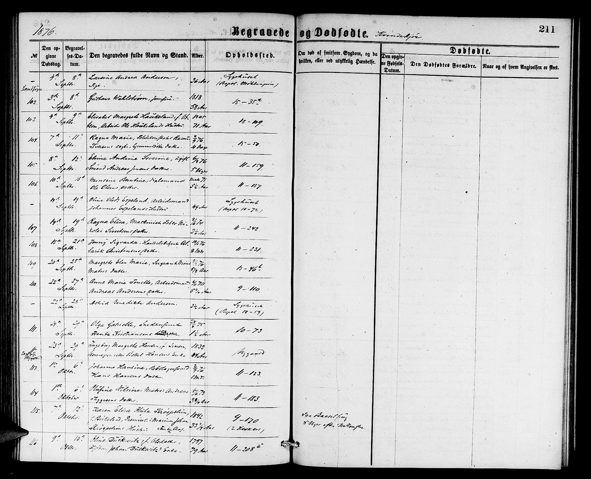 Domkirken sokneprestembete, AV/SAB-A-74801/H/Hab/L0040: Parish register (copy) no. E 4, 1868-1877, p. 211