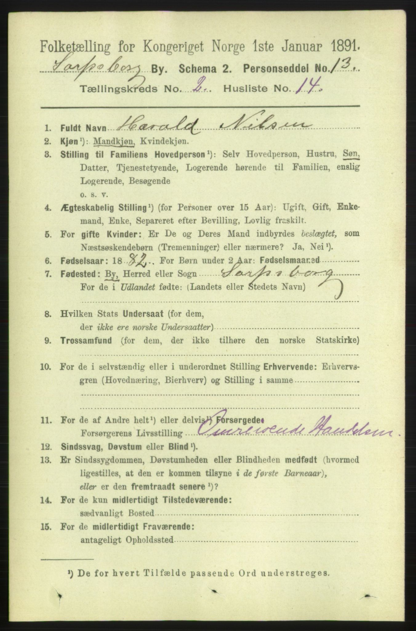 RA, 1891 census for 0102 Sarpsborg, 1891, p. 1385