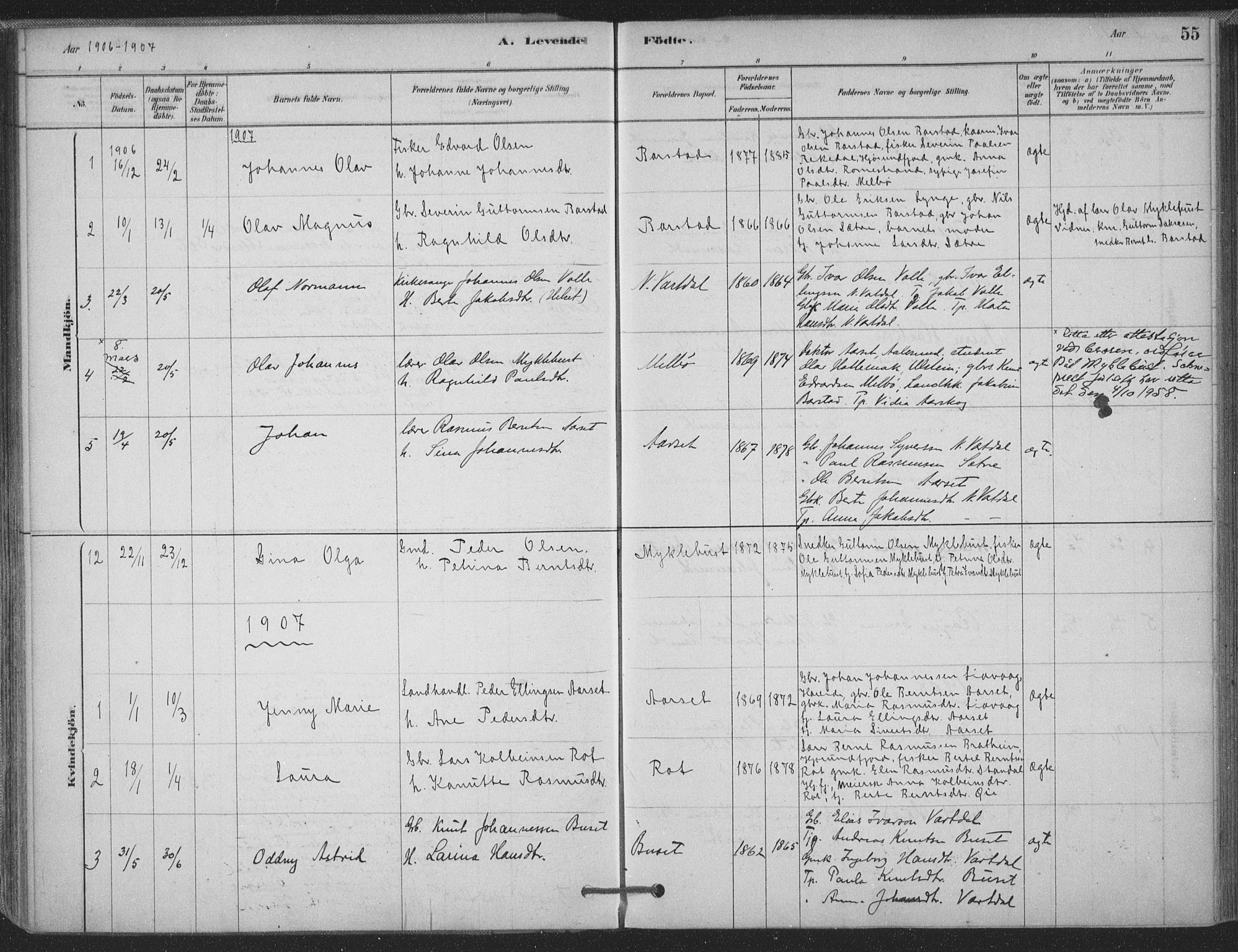 Ministerialprotokoller, klokkerbøker og fødselsregistre - Møre og Romsdal, AV/SAT-A-1454/514/L0199: Parish register (official) no. 514A01, 1878-1912, p. 55