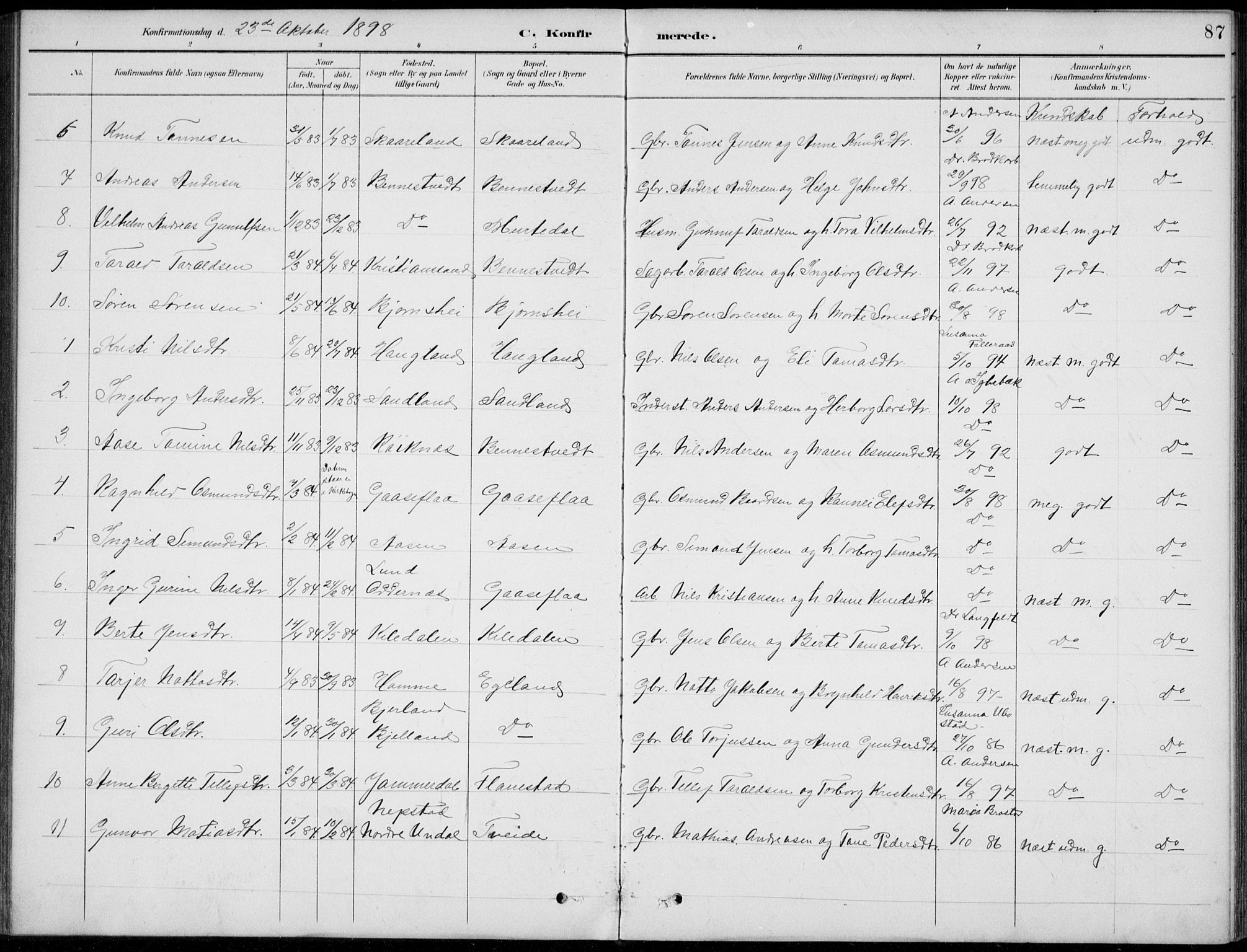 Vennesla sokneprestkontor, AV/SAK-1111-0045/Fb/Fba/L0003: Parish register (copy) no. B 3, 1890-1919, p. 87