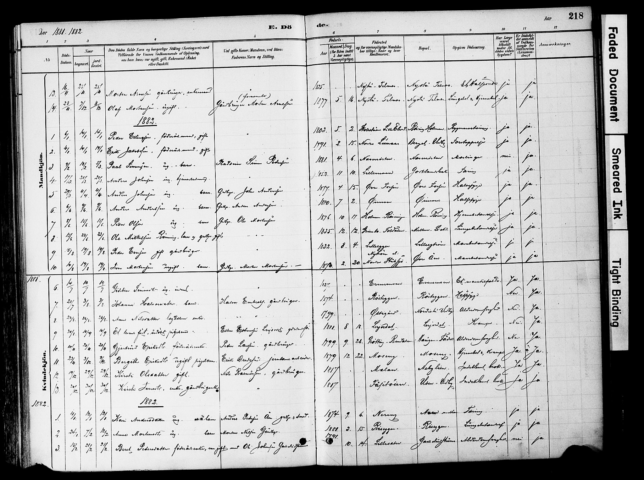 Tynset prestekontor, SAH/PREST-058/H/Ha/Haa/L0022: Parish register (official) no. 22, 1880-1899, p. 218