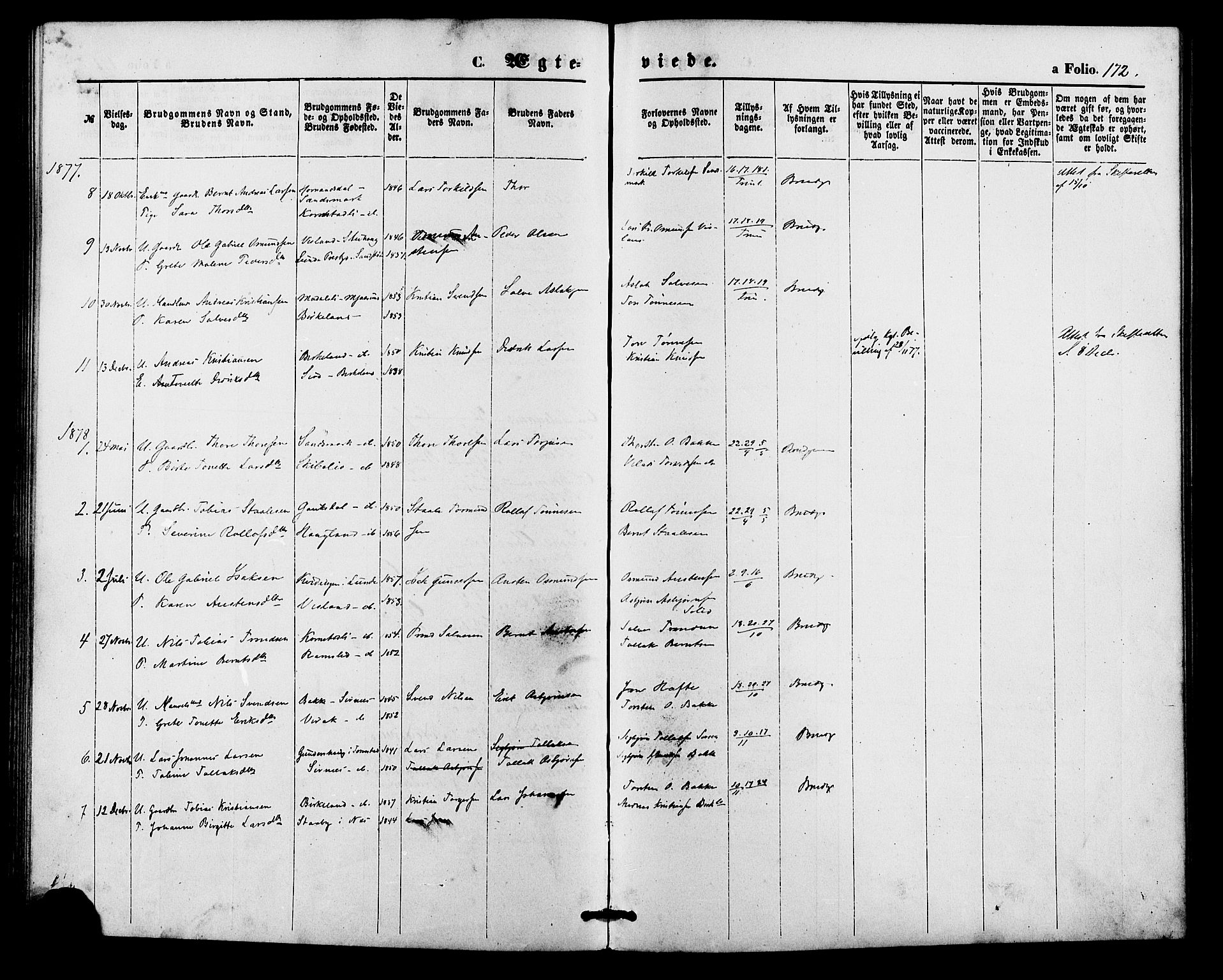 Bakke sokneprestkontor, SAK/1111-0002/F/Fa/Faa/L0007: Parish register (official) no. A 7, 1877-1886, p. 172