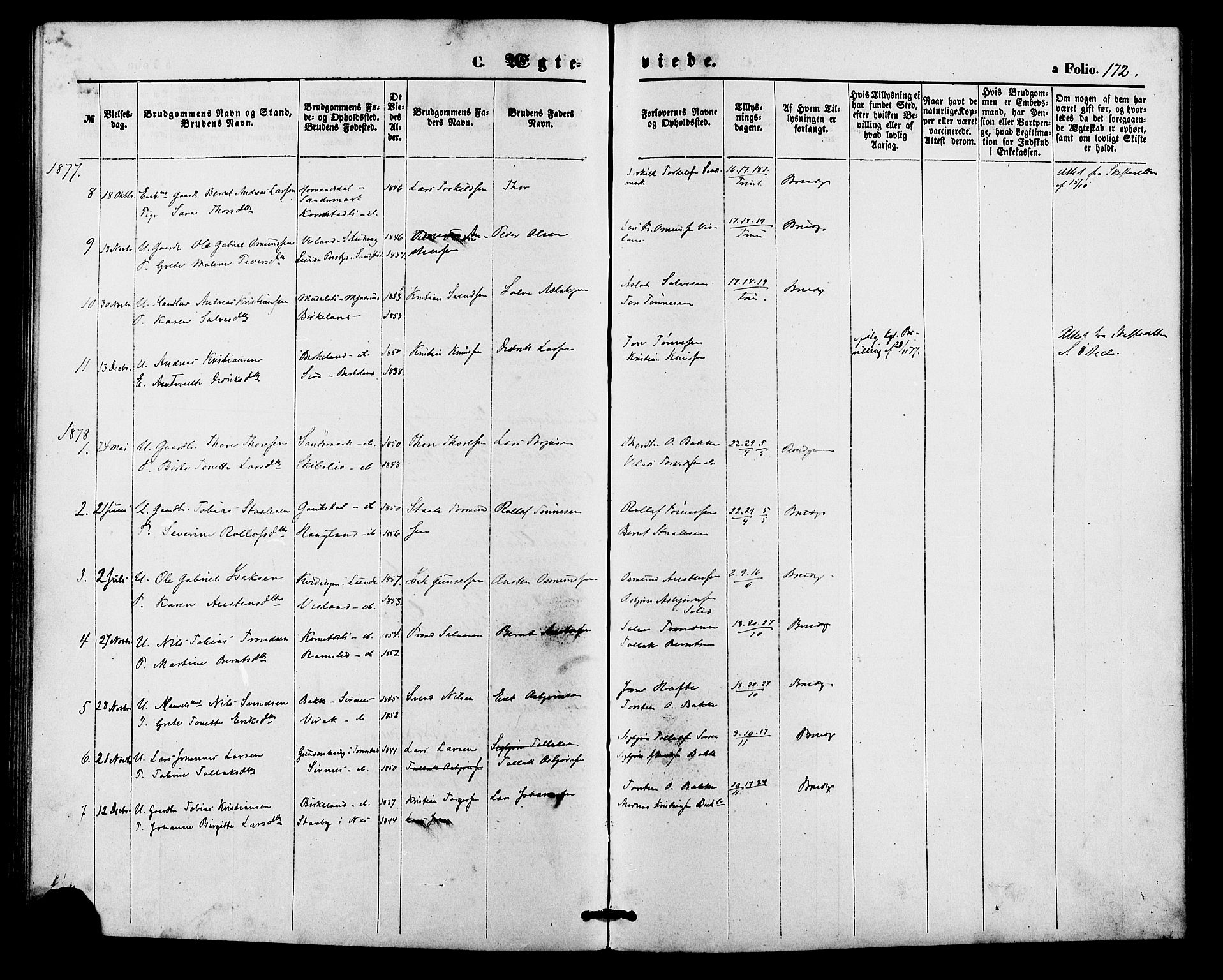 Bakke sokneprestkontor, AV/SAK-1111-0002/F/Fa/Faa/L0007: Parish register (official) no. A 7, 1877-1886, p. 172