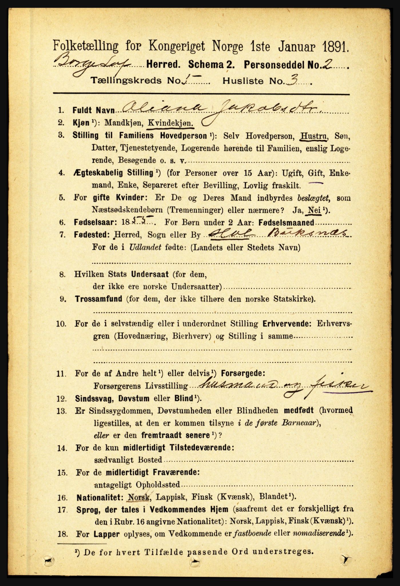 RA, 1891 census for 1862 Borge, 1891, p. 3094