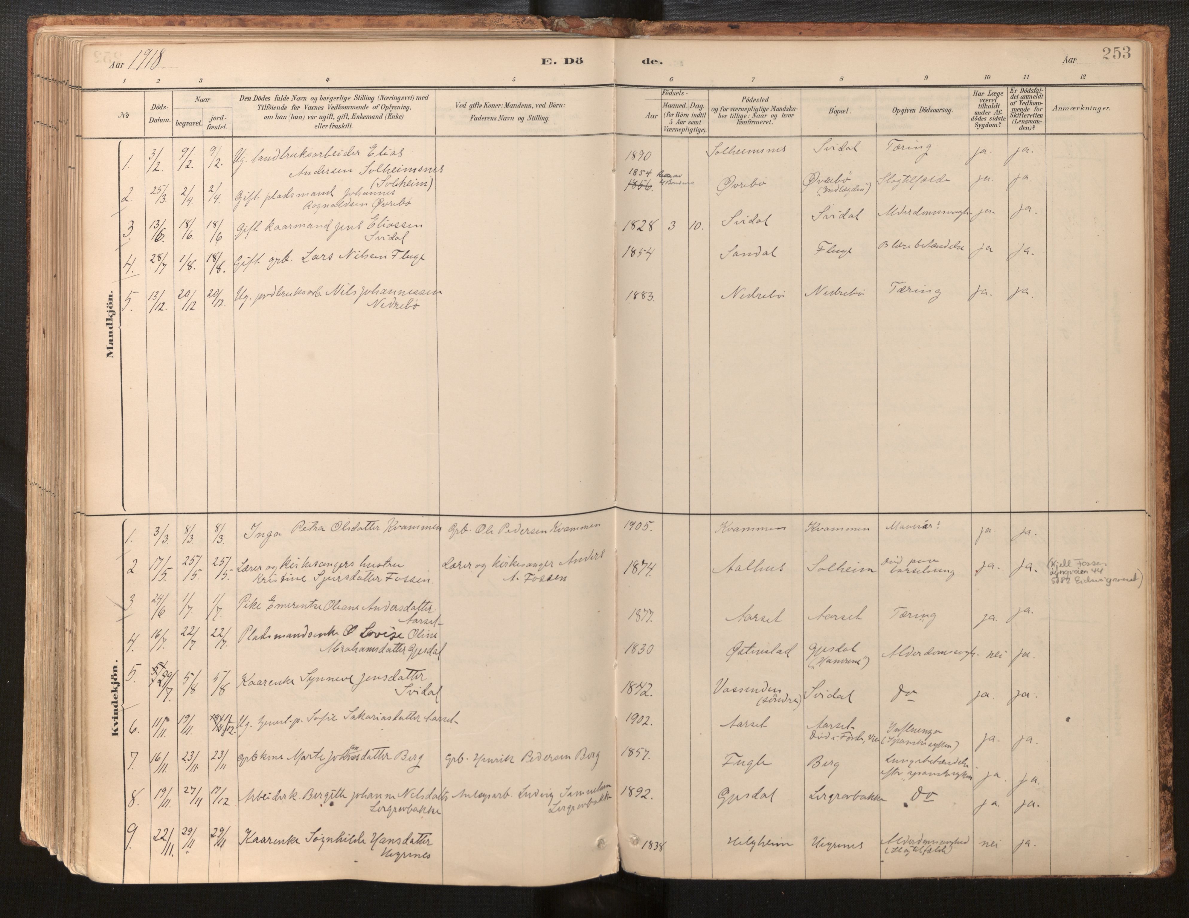 Jølster sokneprestembete, AV/SAB-A-80701/H/Haa/Haab/L0001: Parish register (official) no. B 1, 1882-1930, p. 253