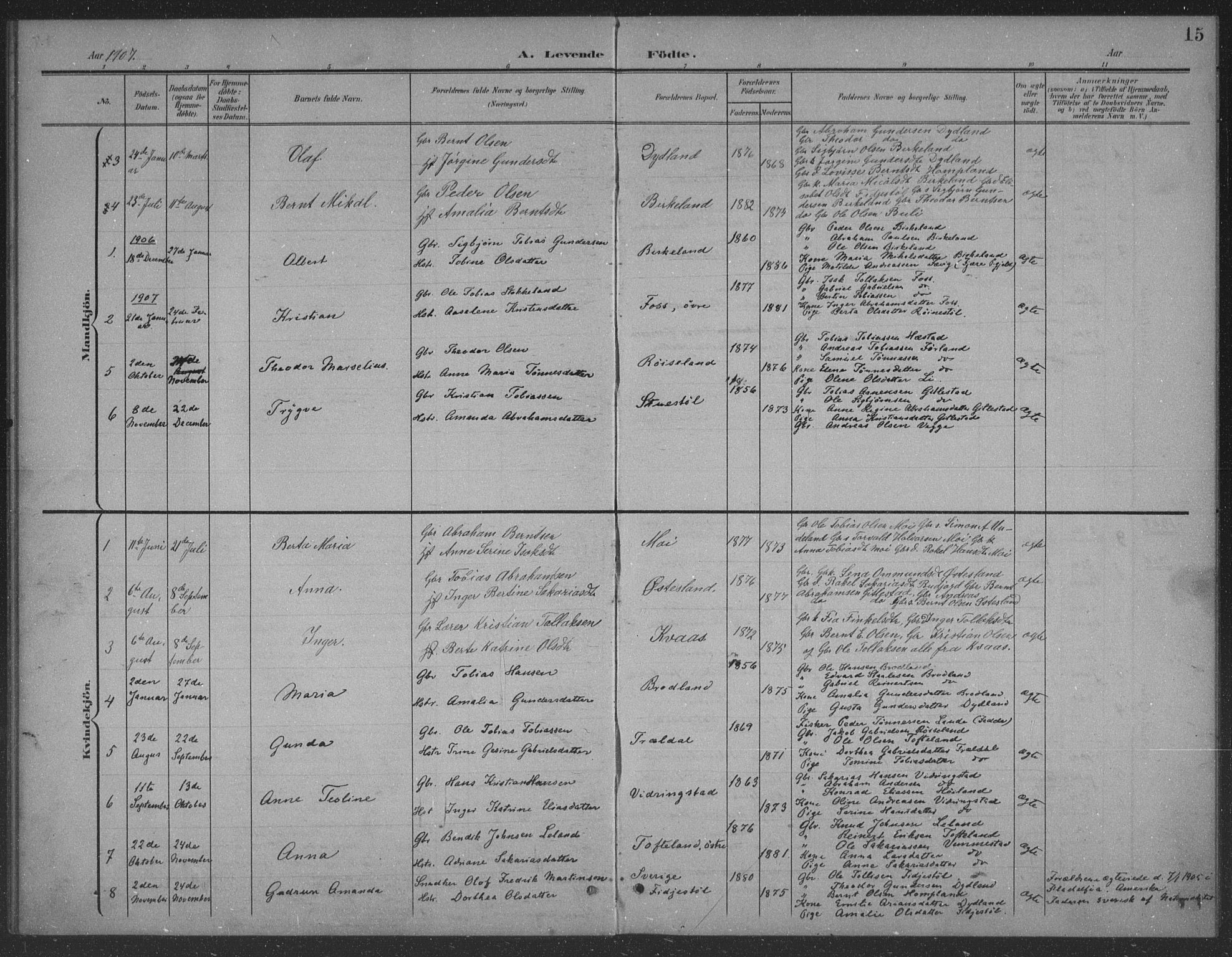 Lyngdal sokneprestkontor, AV/SAK-1111-0029/F/Fb/Fbb/L0002: Parish register (copy) no. B 2, 1901-1934, p. 15