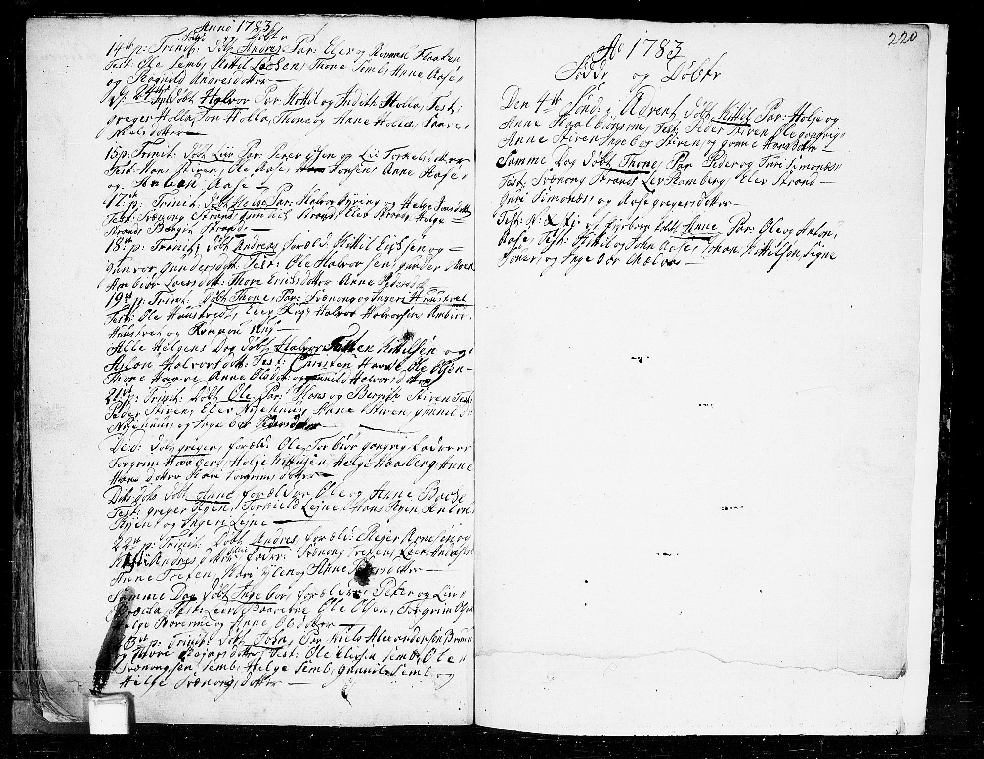 Heddal kirkebøker, AV/SAKO-A-268/F/Fa/L0003: Parish register (official) no. I 3, 1723-1783, p. 220