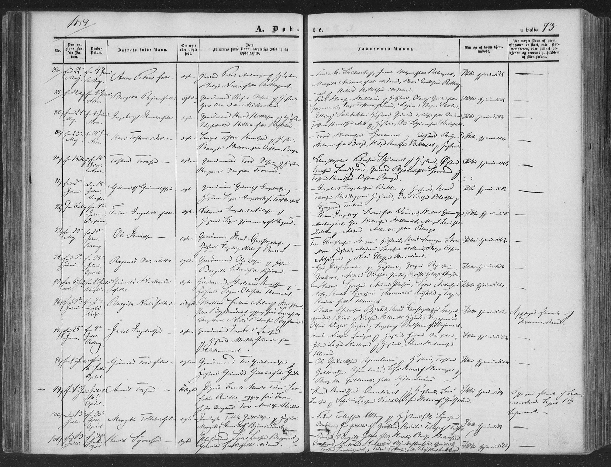 Rollag kirkebøker, SAKO/A-240/F/Fa/L0008: Parish register (official) no. I 8, 1847-1860, p. 73