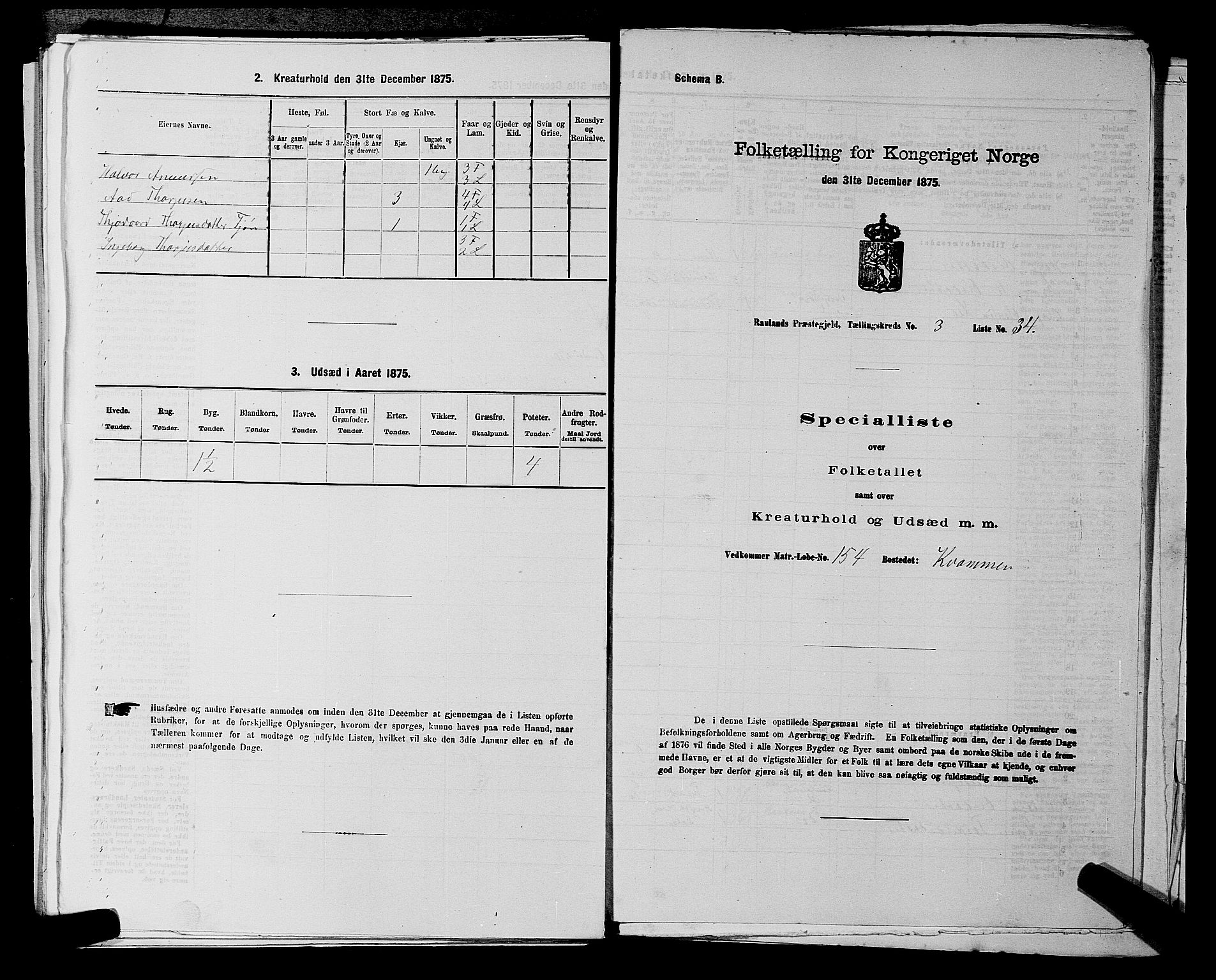 SAKO, 1875 census for 0835P Rauland, 1875, p. 220