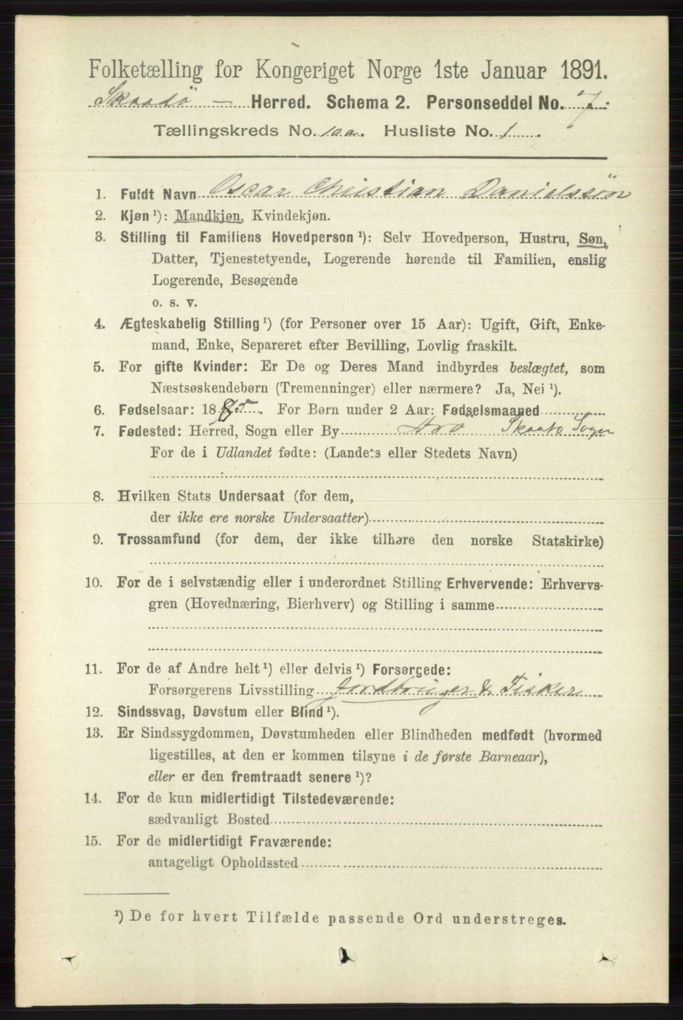 RA, 1891 census for 0815 Skåtøy, 1891, p. 4038