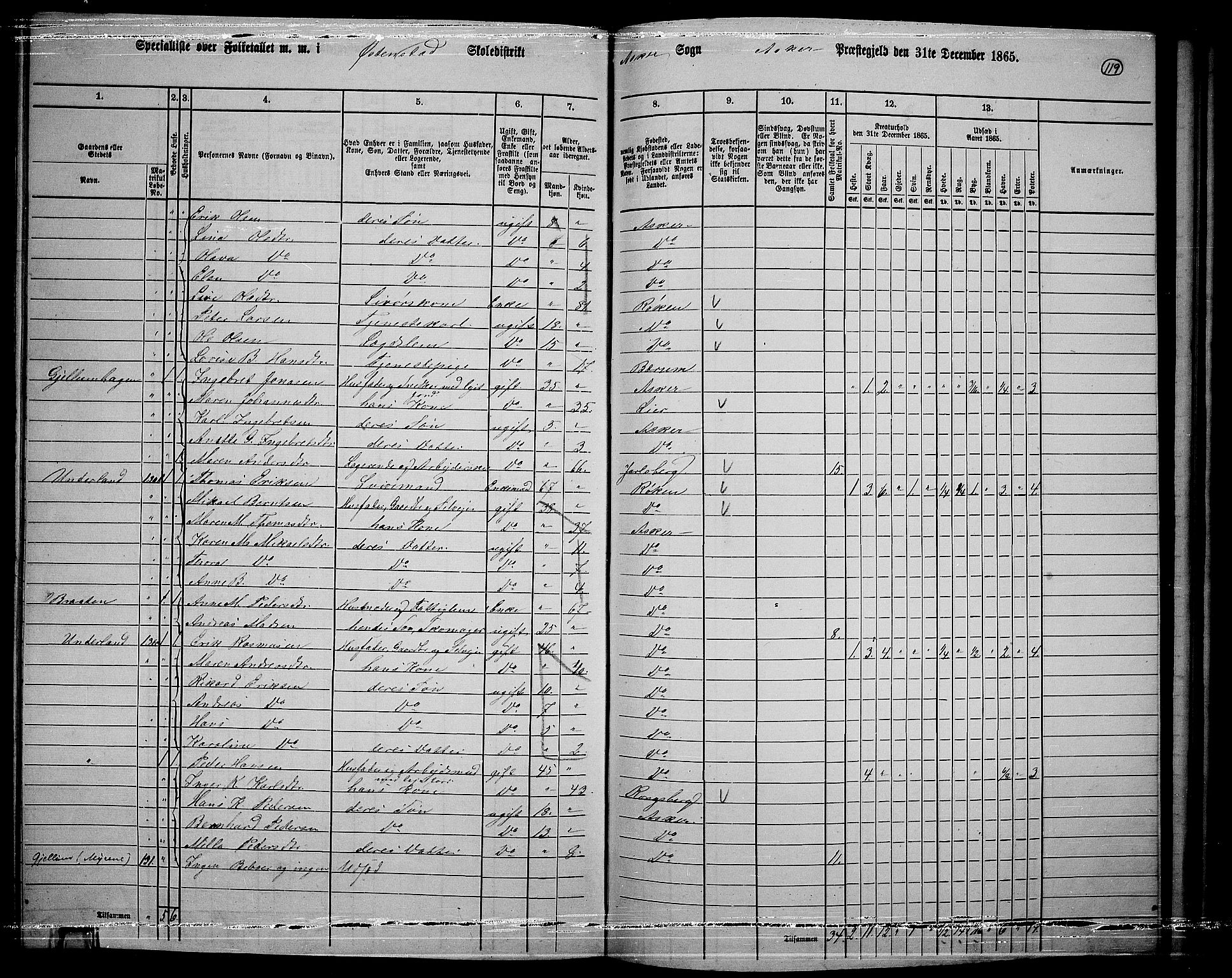 RA, 1865 census for Asker, 1865, p. 115