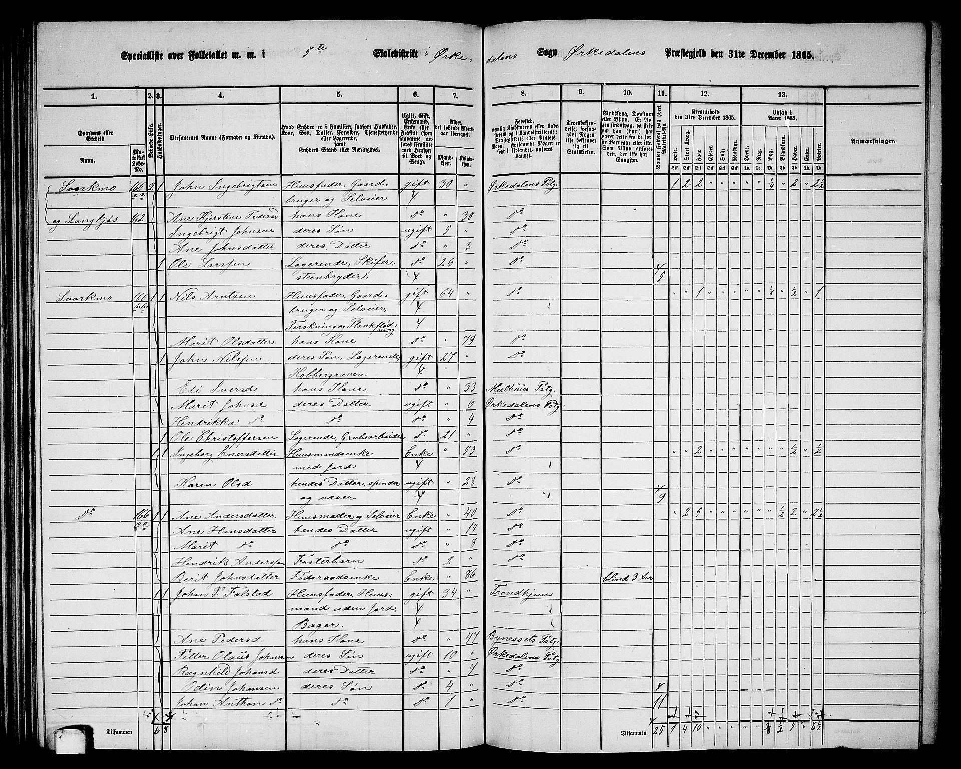 RA, 1865 census for Orkdal, 1865, p. 154