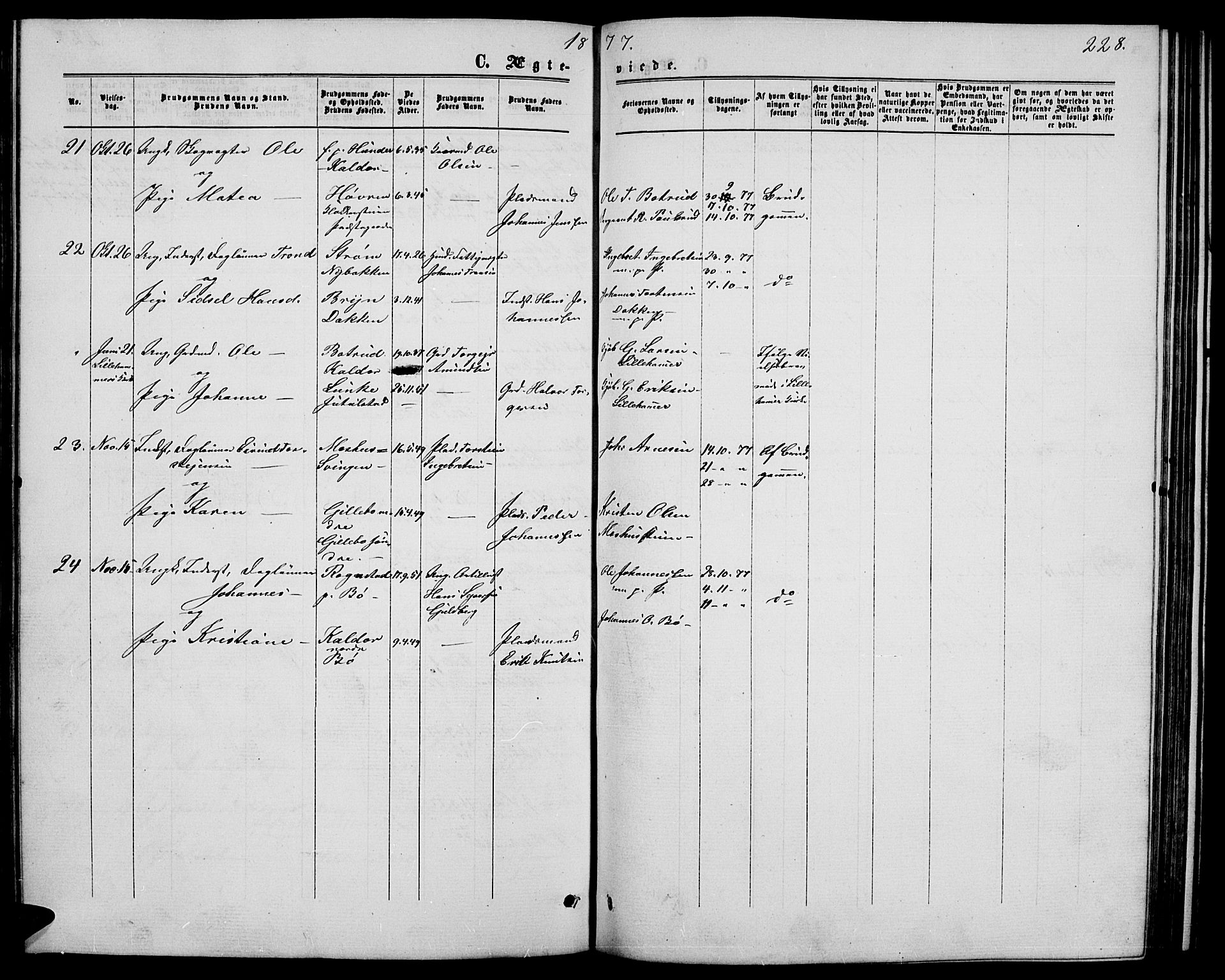 Øyer prestekontor, SAH/PREST-084/H/Ha/Hab/L0001: Parish register (copy) no. 1, 1863-1877, p. 228